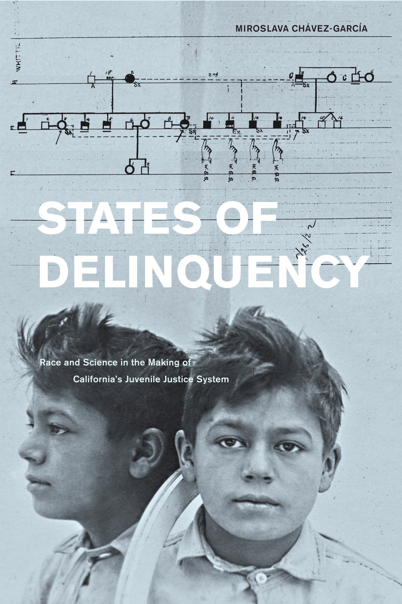 Cover image for States of Delinquency ISBN 9780520271722