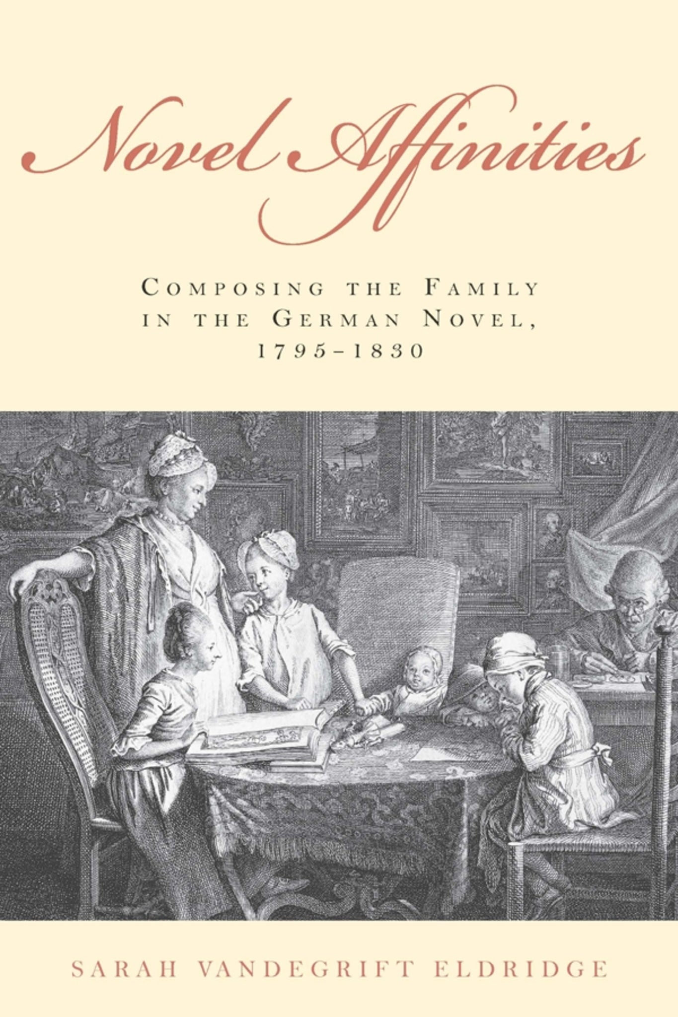 Cover image for Novel Affinities ISBN 9781571139597