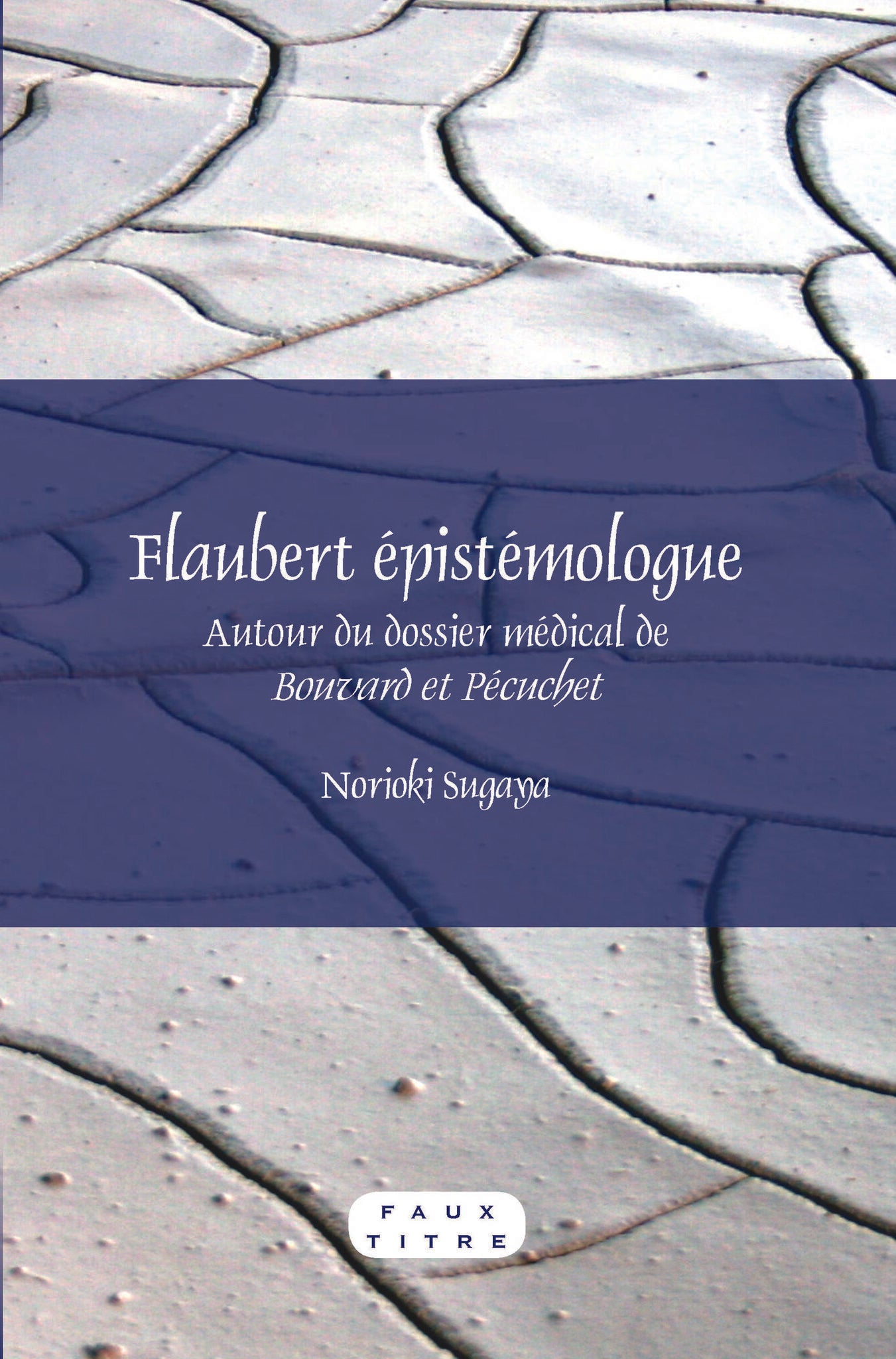 Flaubert épistémologue