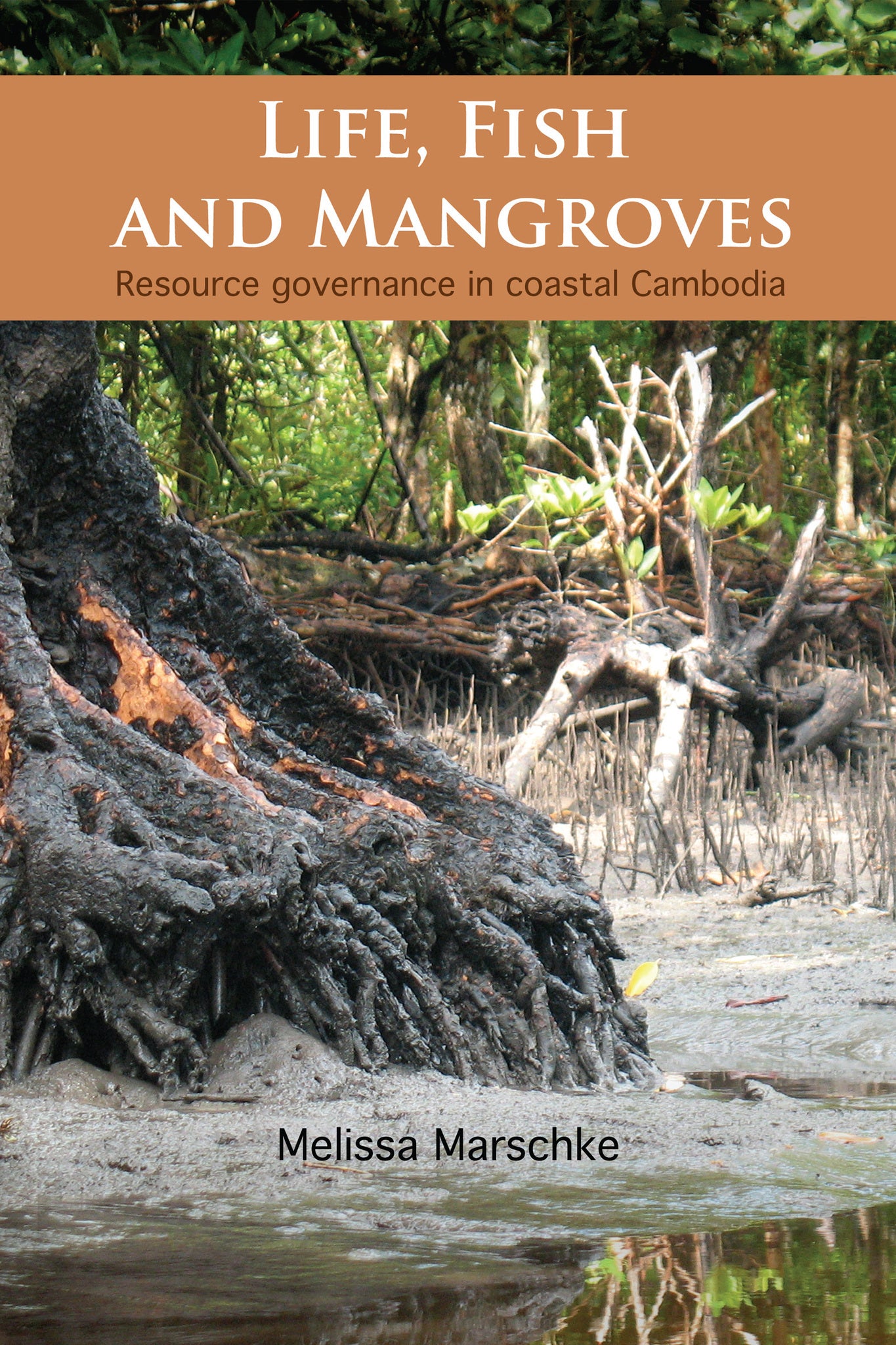 Cover image for Life, Fish and Mangroves ISBN 9780776607726