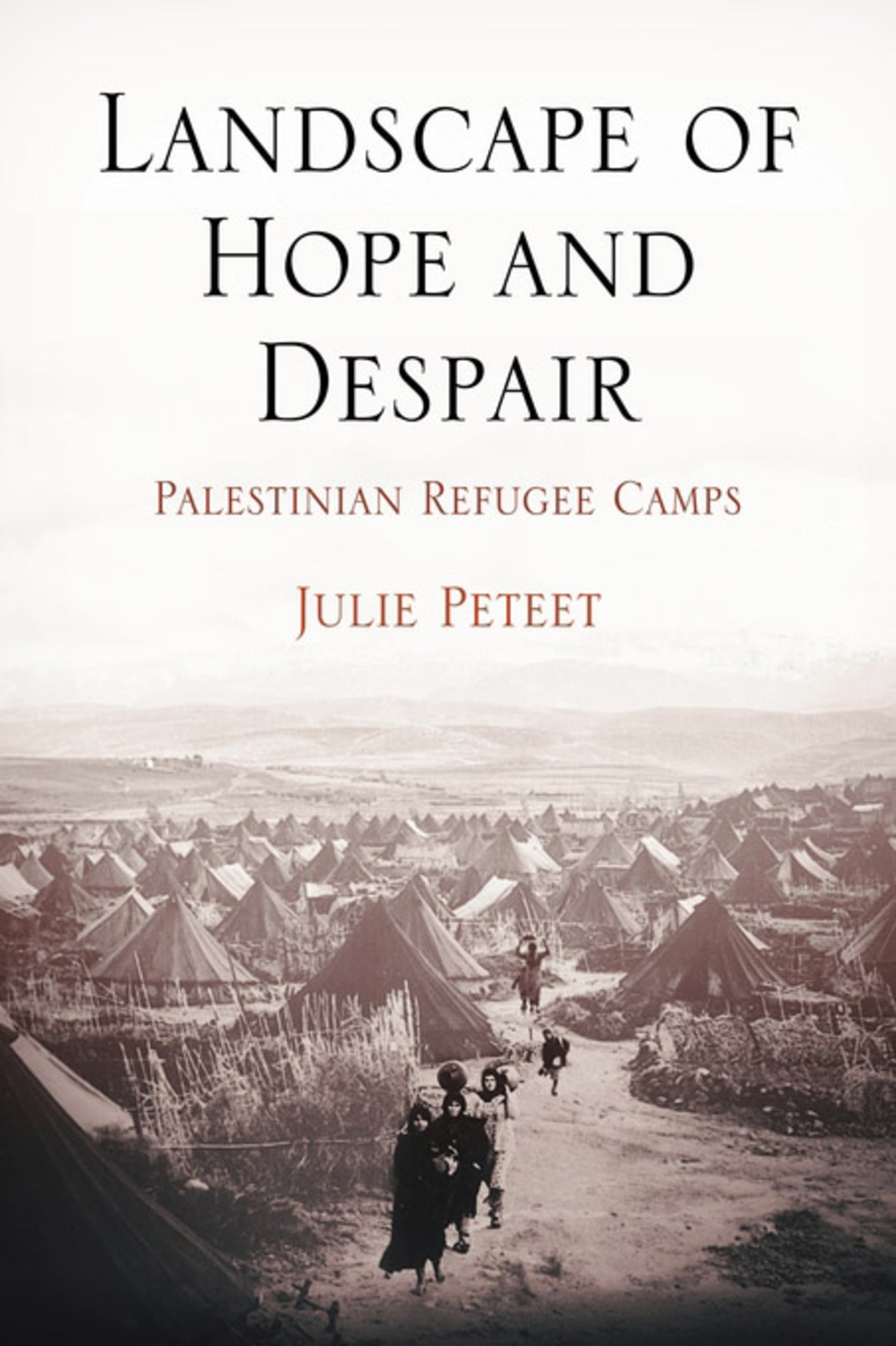 Landscape of Hope and Despair