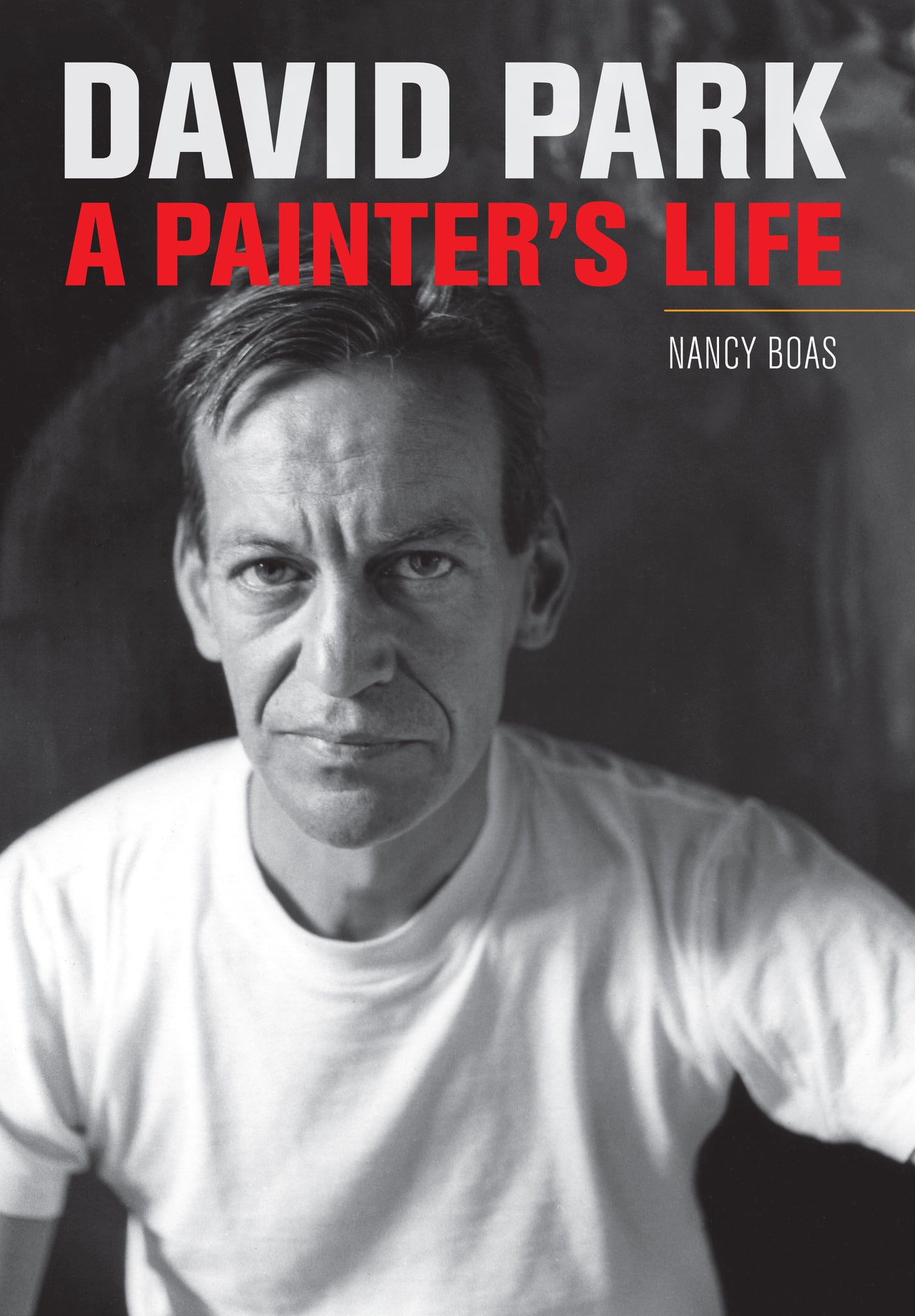Cover image for David Park ISBN 9780520268418
