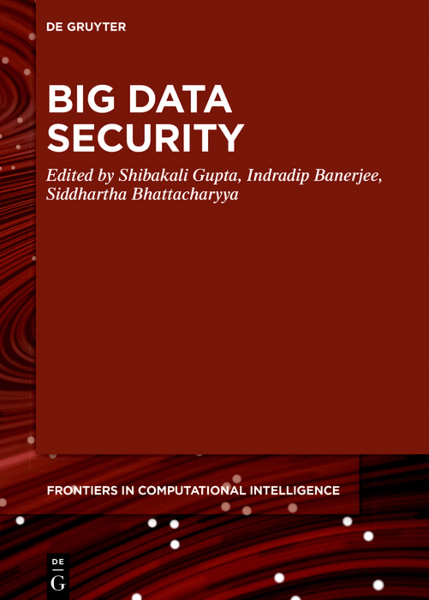 Big Data Security