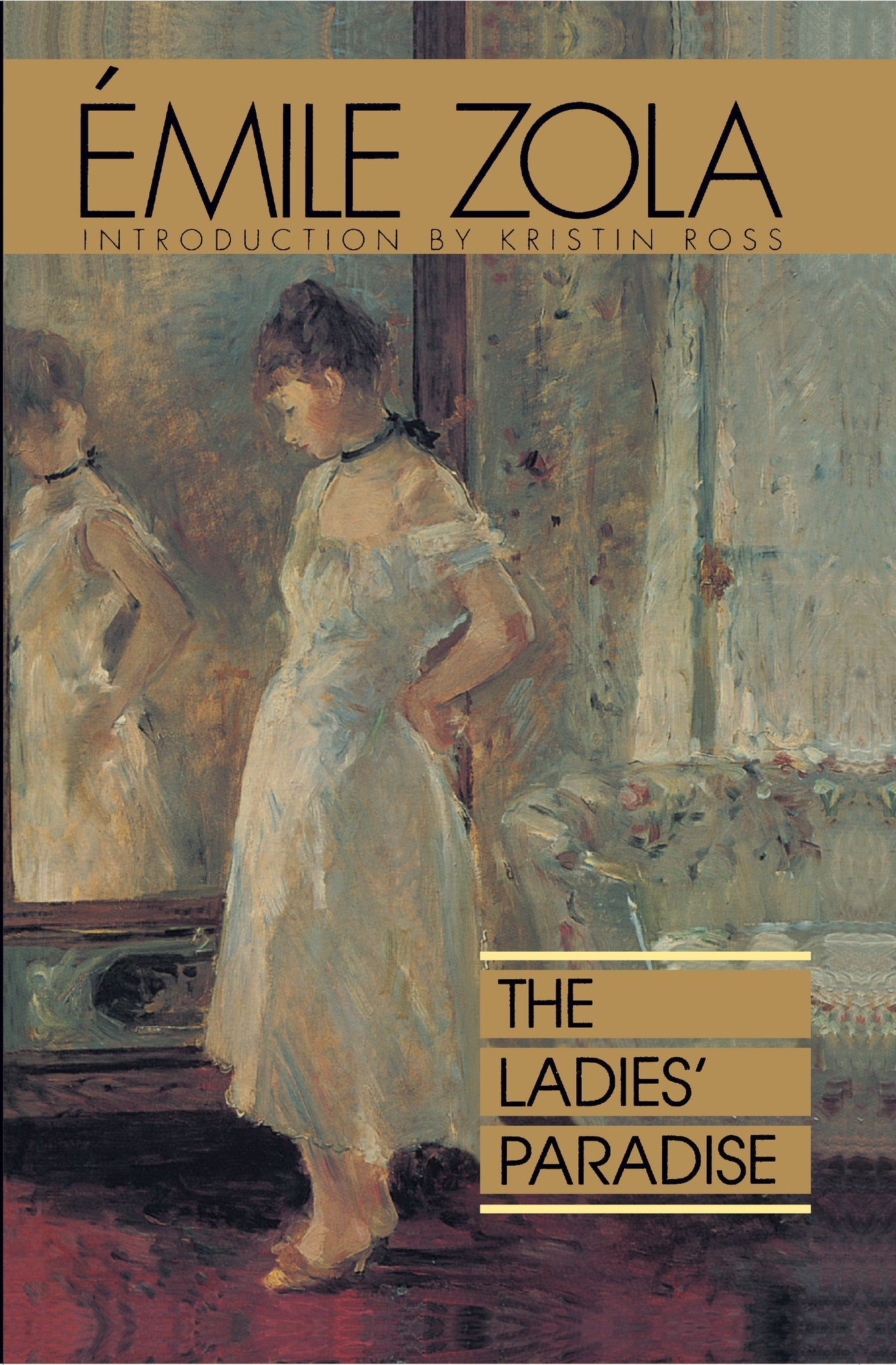 Cover image for The Ladies' Paradise ISBN 9780520912649