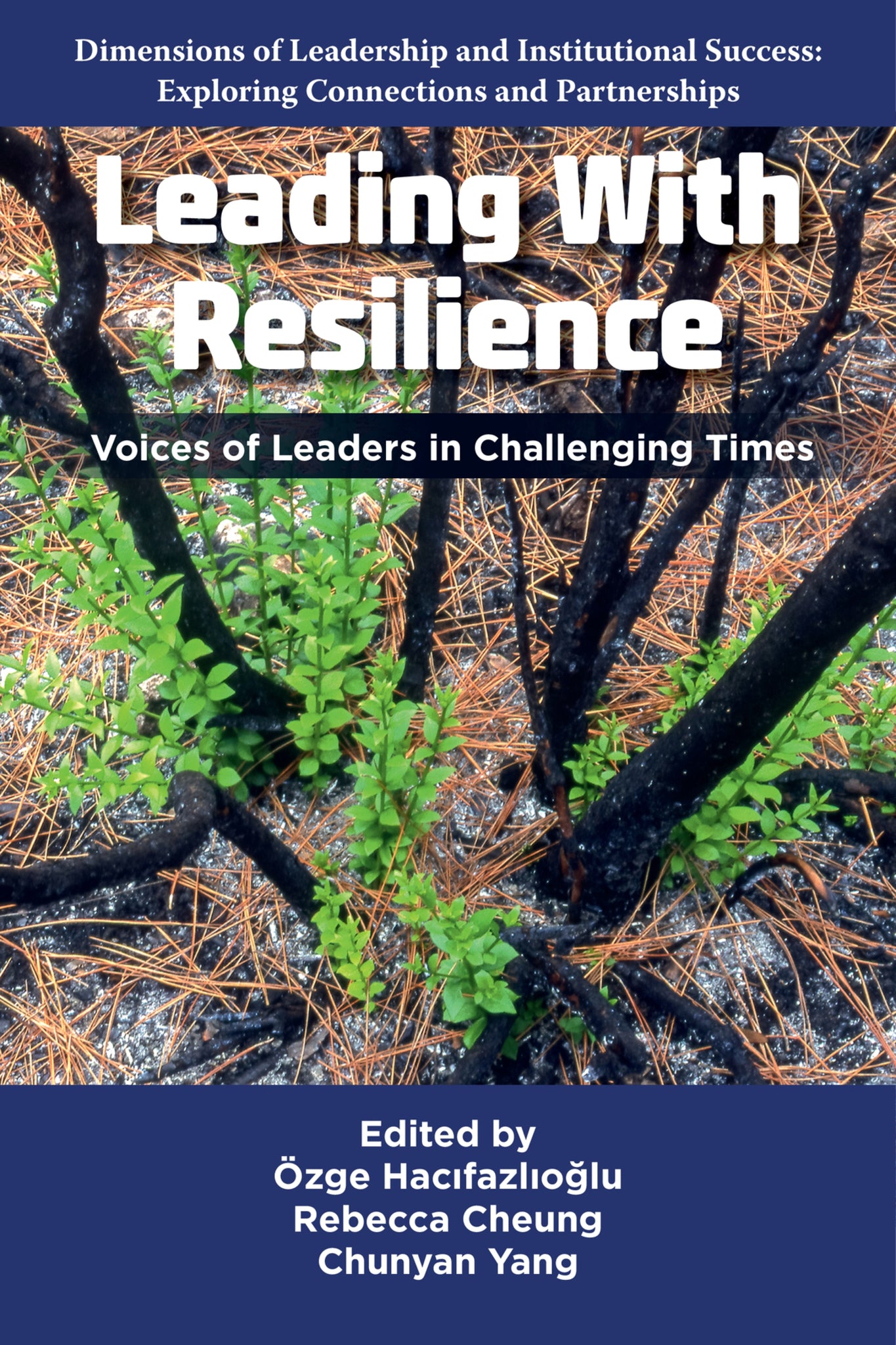 Cover image for Leading With Resilience ISBN 9781806863624