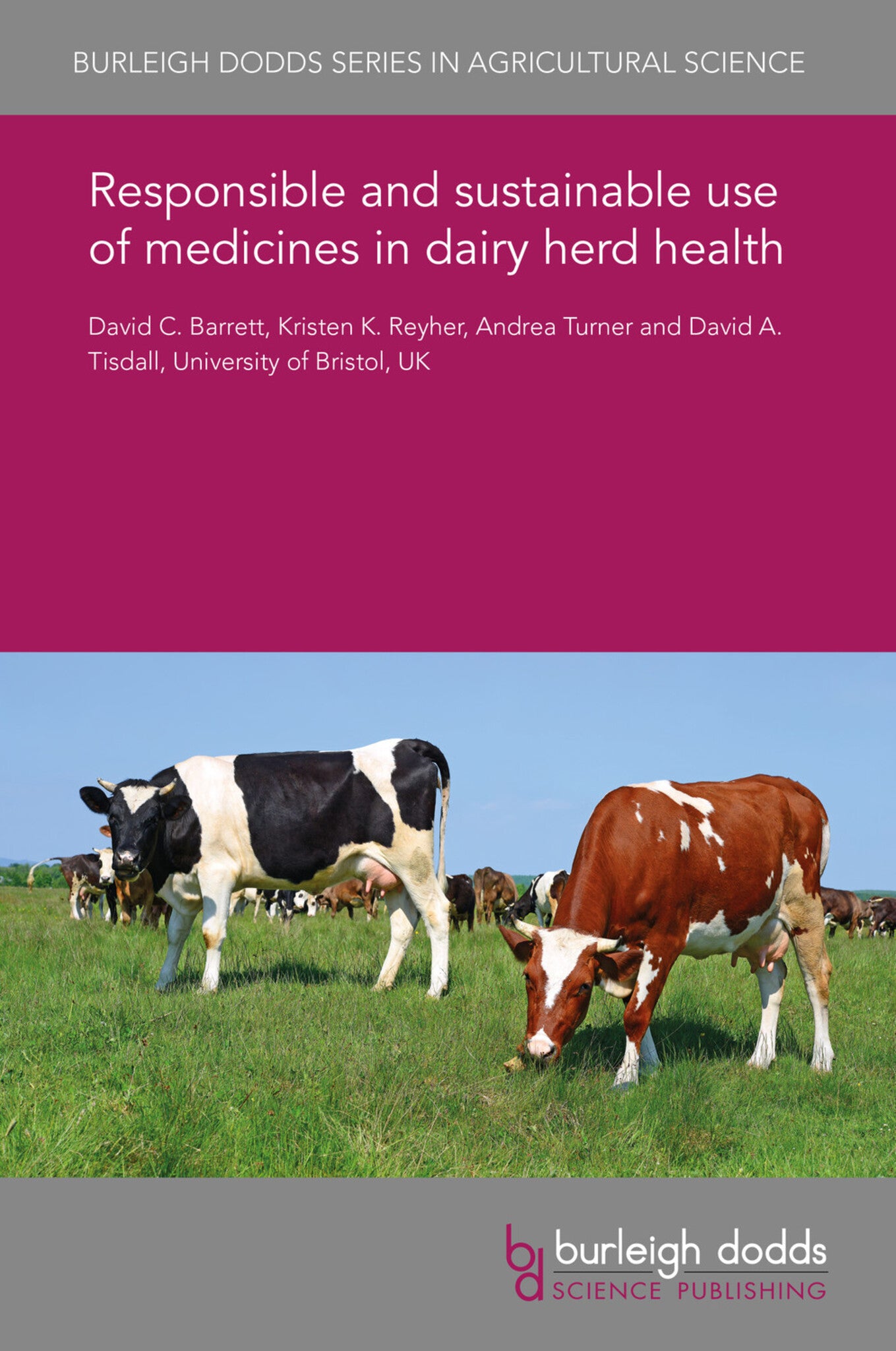 Cover image for Responsible and sustainable use of medicines in dairy herd health ISBN 9781838791803