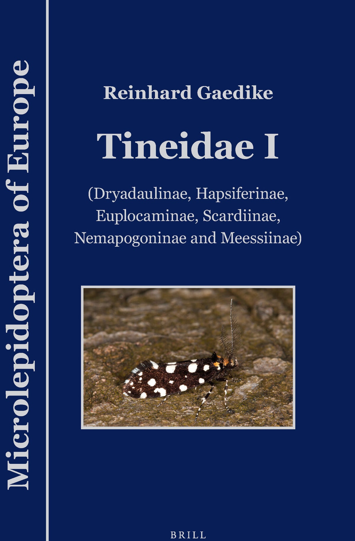 Tineidae I