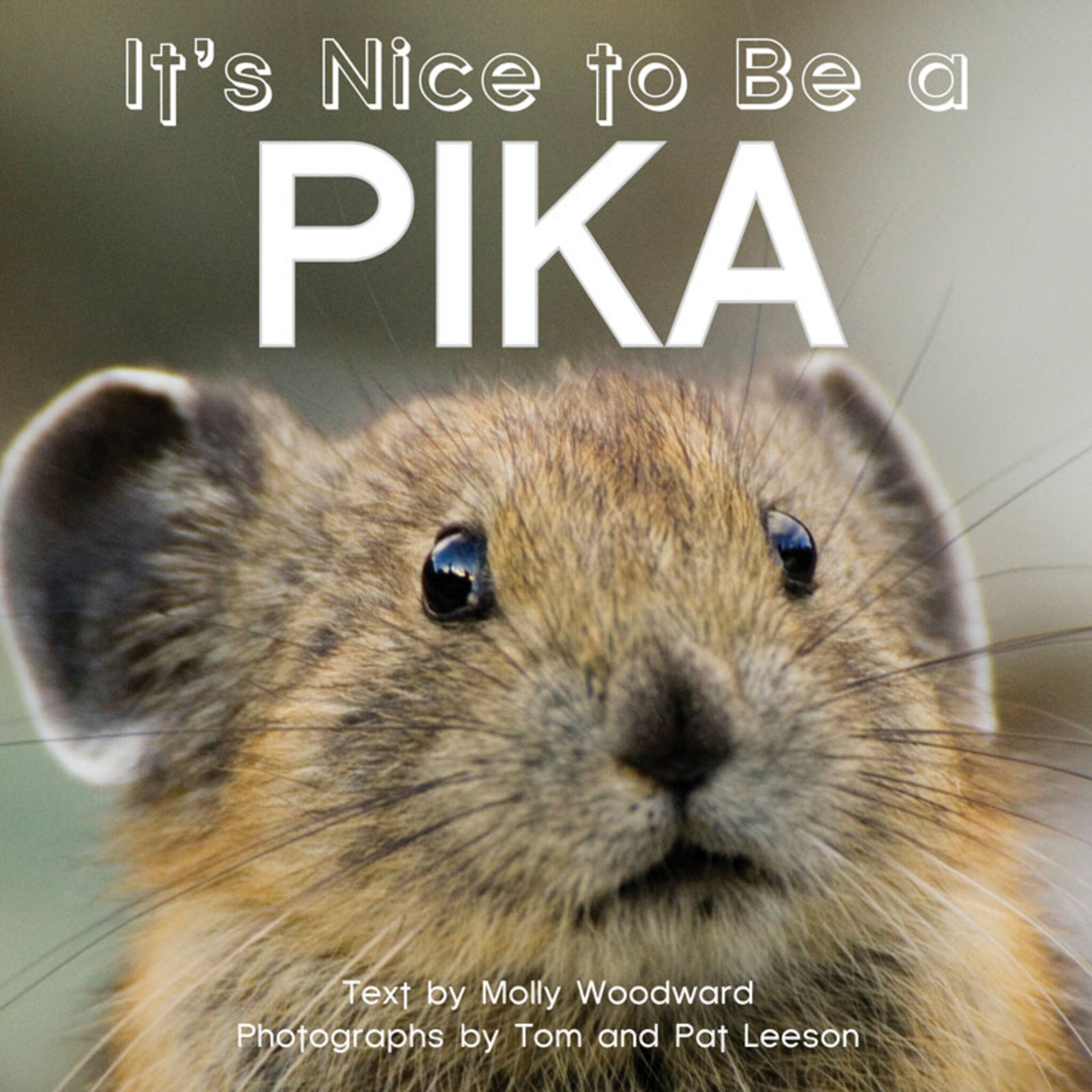 Cover image for It's Nice to Be a Pika ISBN 9781597143363