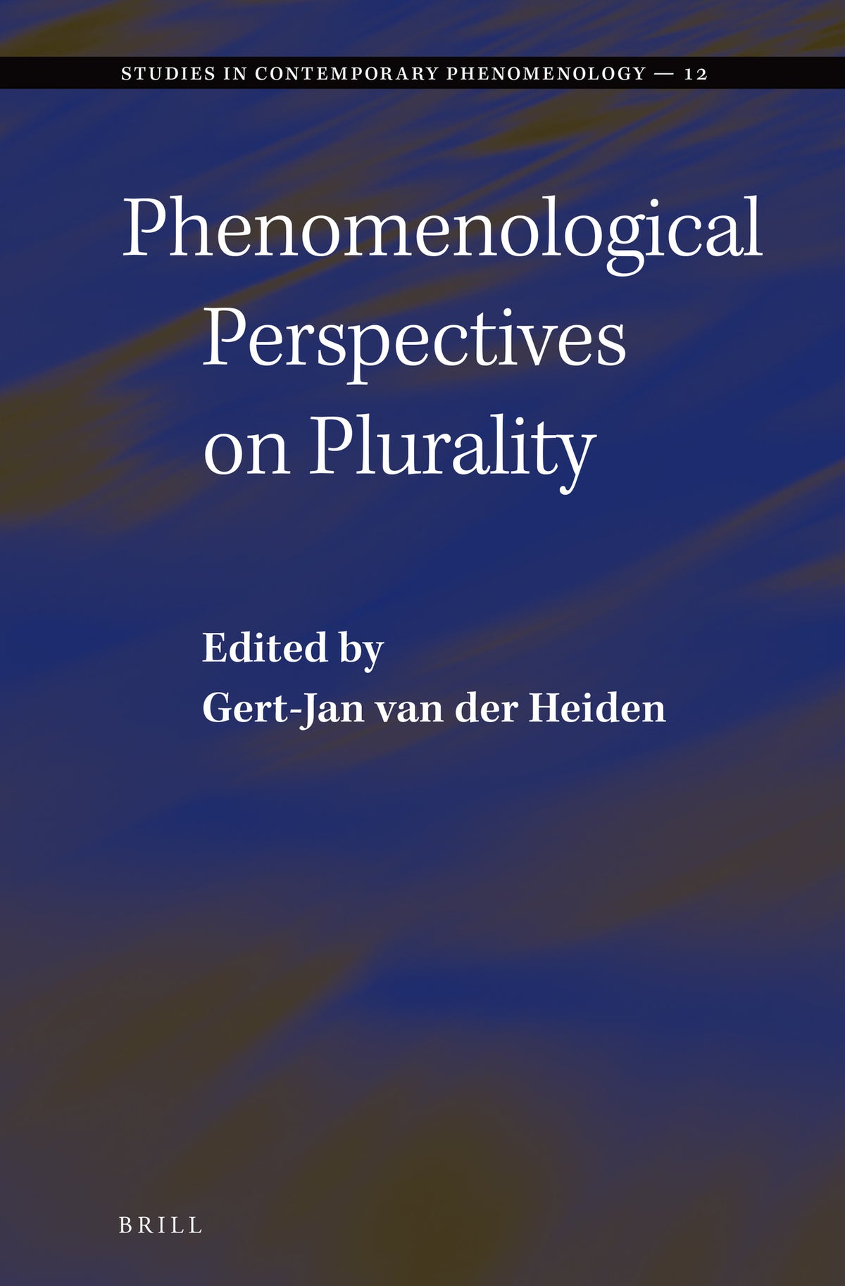 Cover image for Phenomenological Perspectives on Plurality ISBN 9789004281813