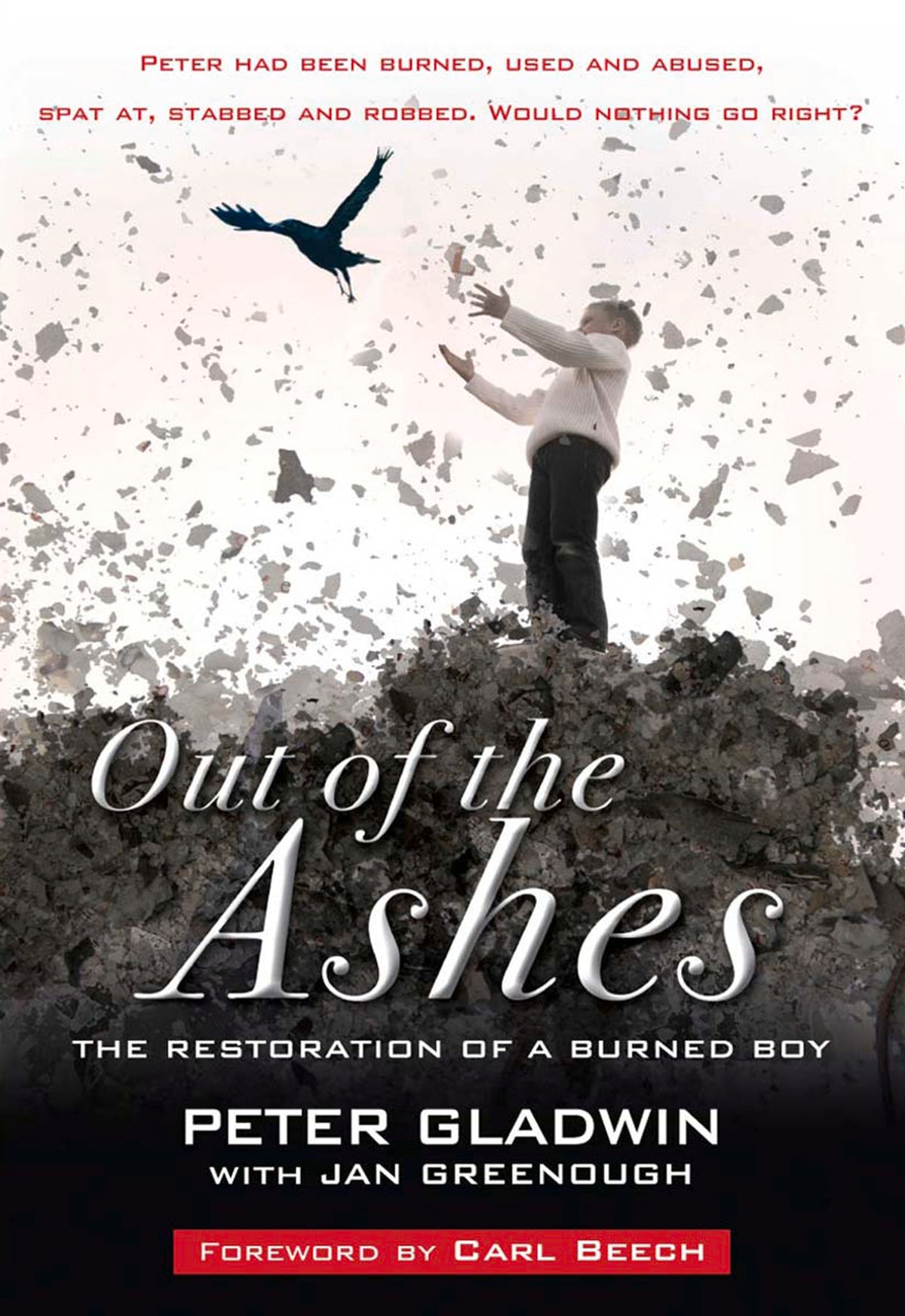 Cover image for Out of the Ashes ISBN 9780857212405