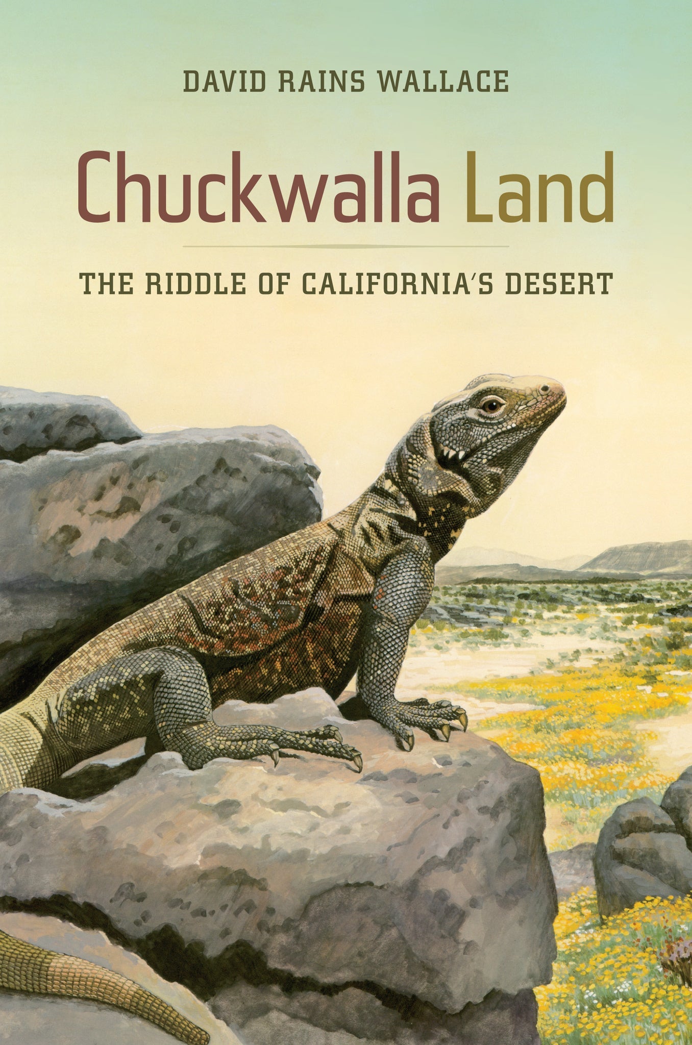 Cover image for Chuckwalla Land ISBN 9780520948662