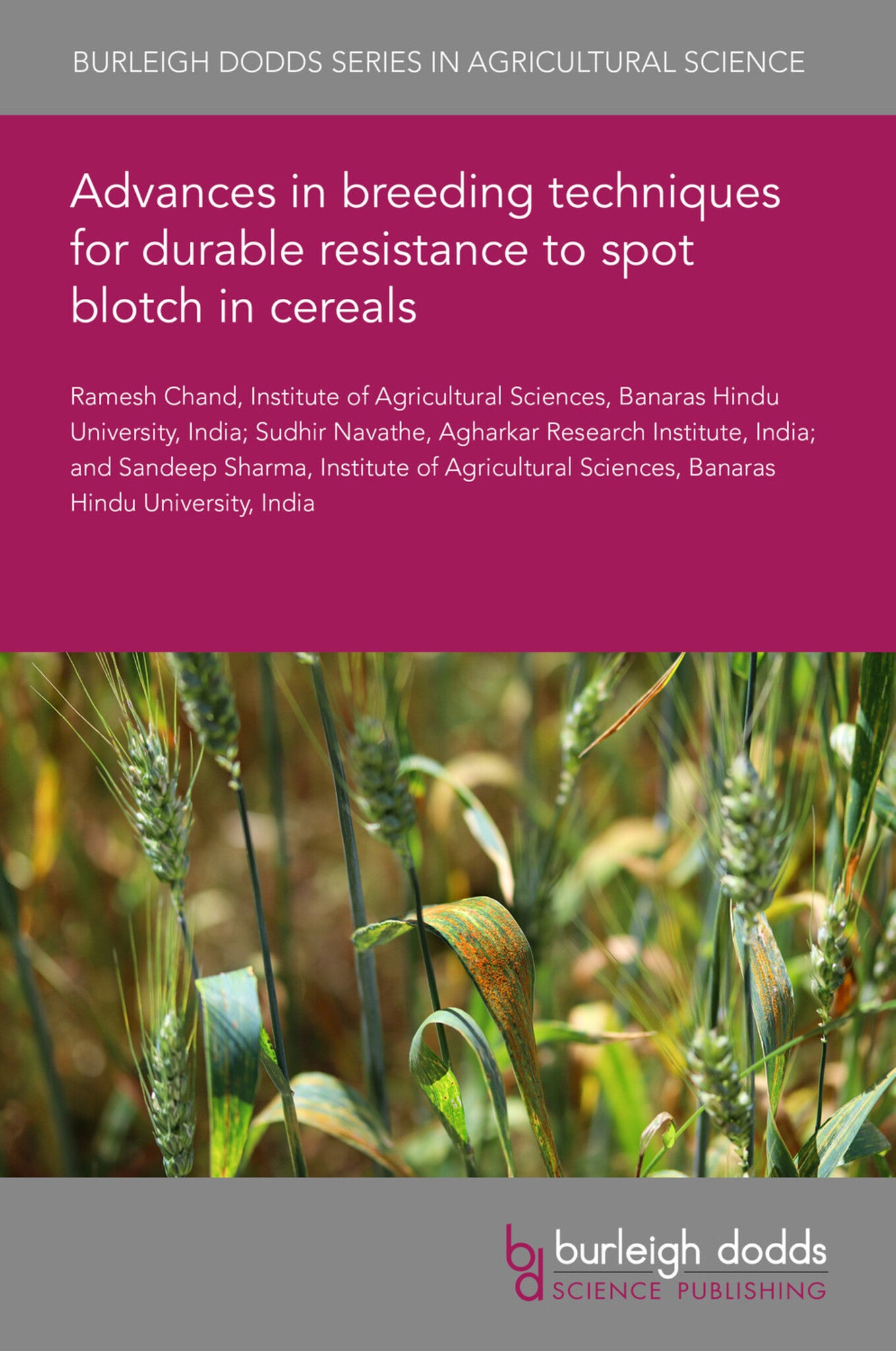 Cover image for Advances in breeding techniques for durable resistance to spot blotch in cereals ISBN 9781801463010