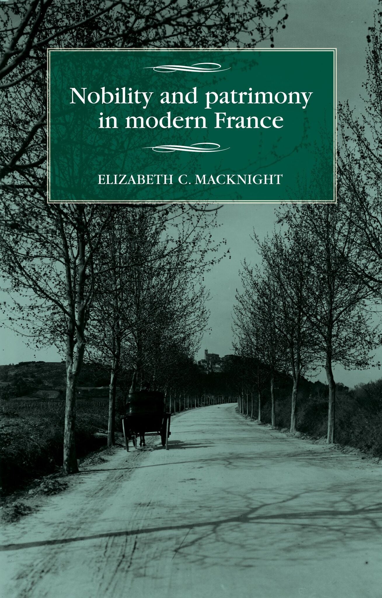 Cover image for Nobility and patrimony in modern France ISBN 9781526120519