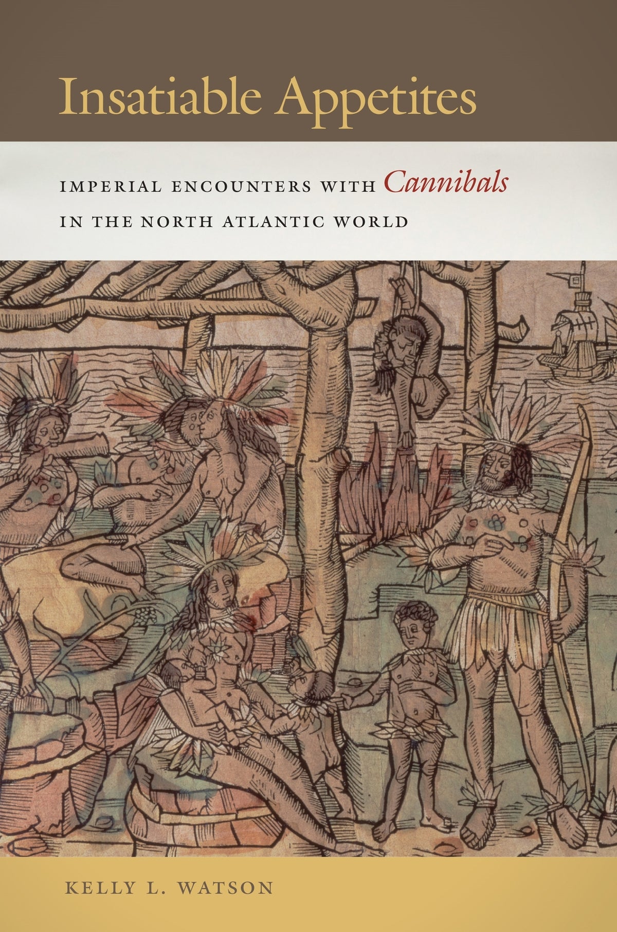 Cover image for Insatiable Appetites ISBN 9781479877652