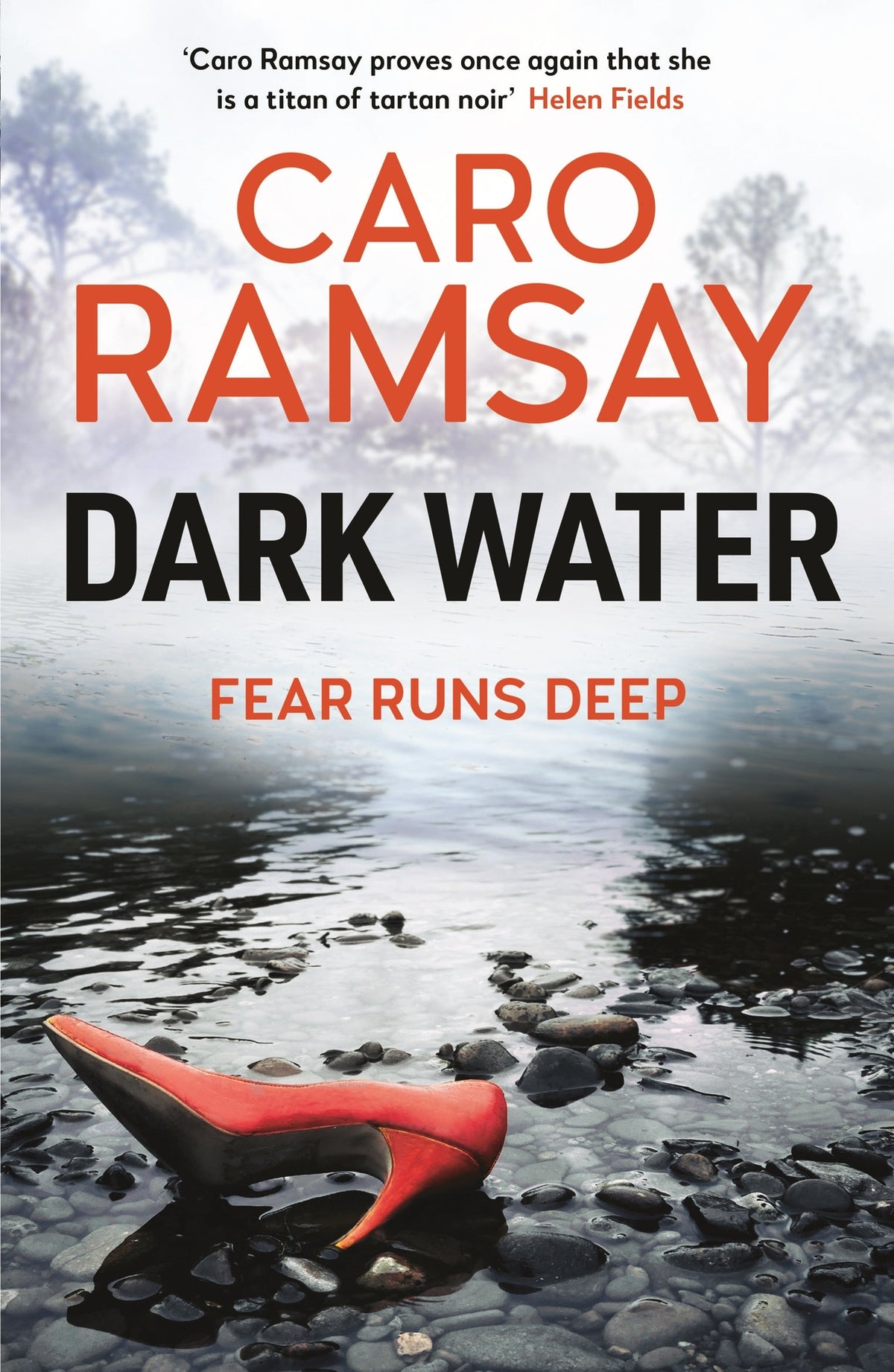 Cover image for Dark Water ISBN