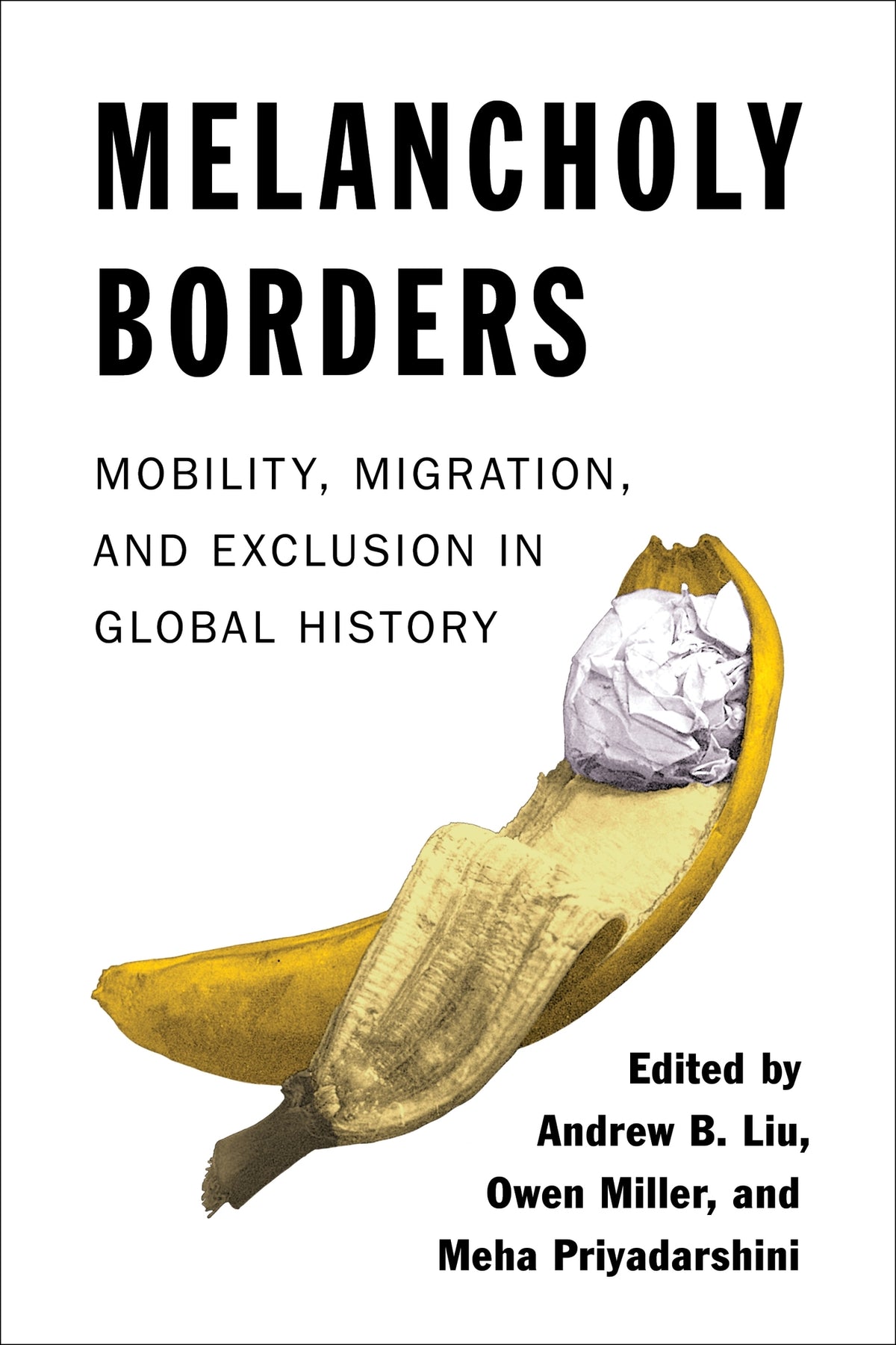 Cover image for Melancholy Borders ISBN 9780231207195