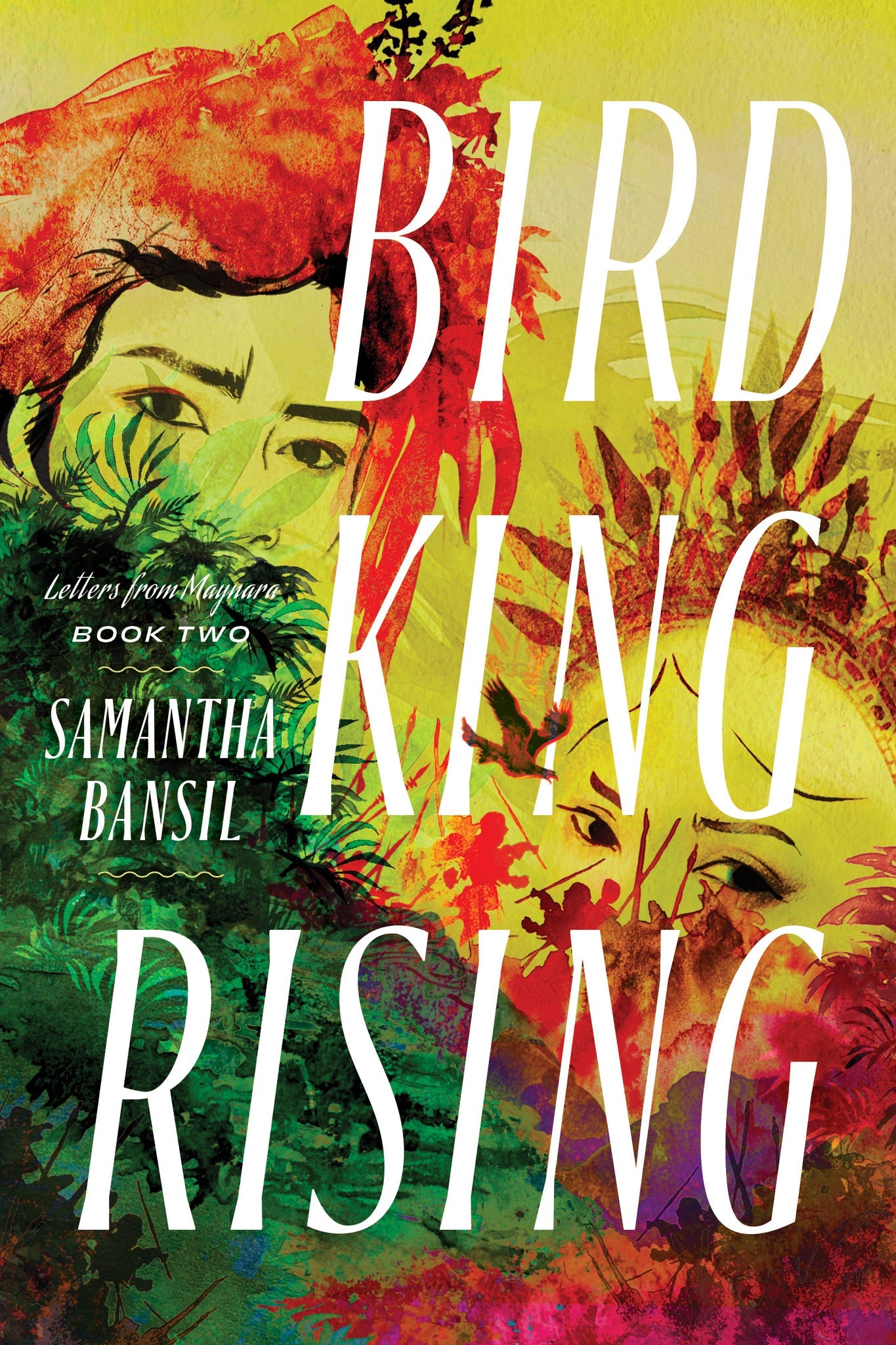 Cover image for Bird King Rising ISBN 9781967967339