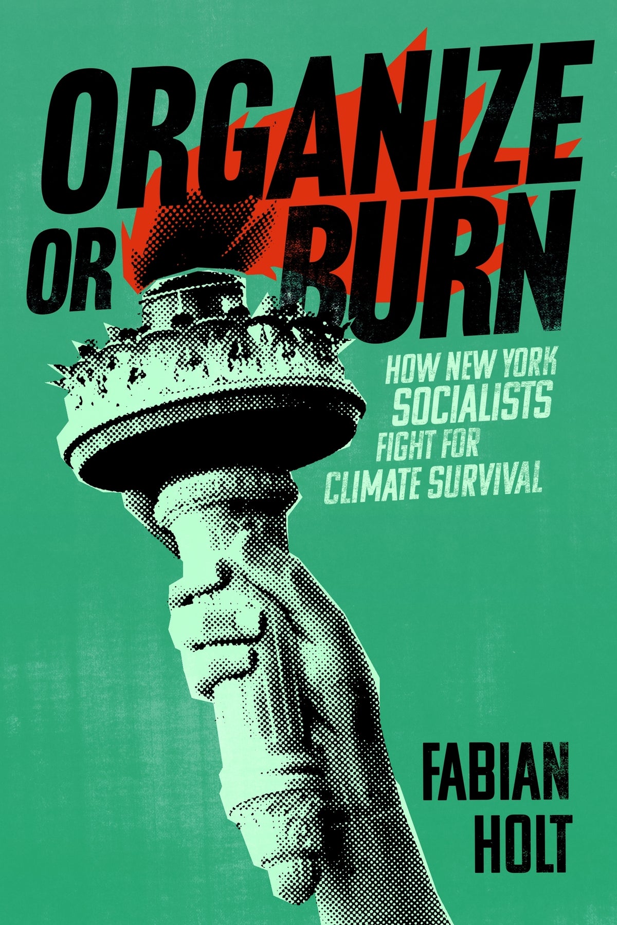 Cover image for Organize or Burn ISBN 9781479837823
