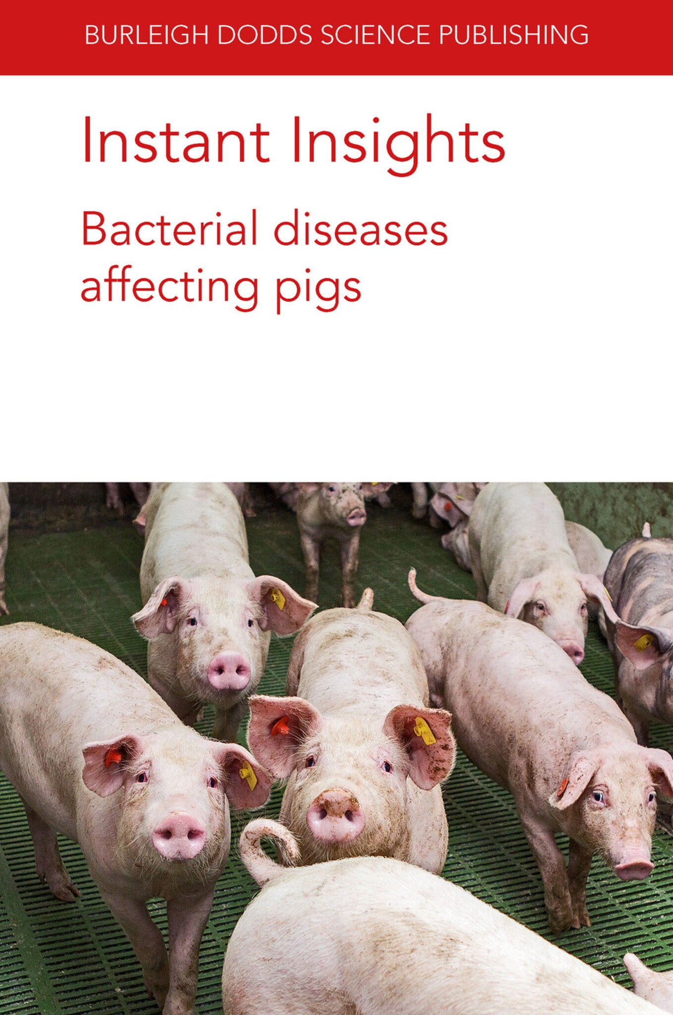 Cover image for Instant Insights: Bacterial diseases affecting pigs ISBN 9781801464154
