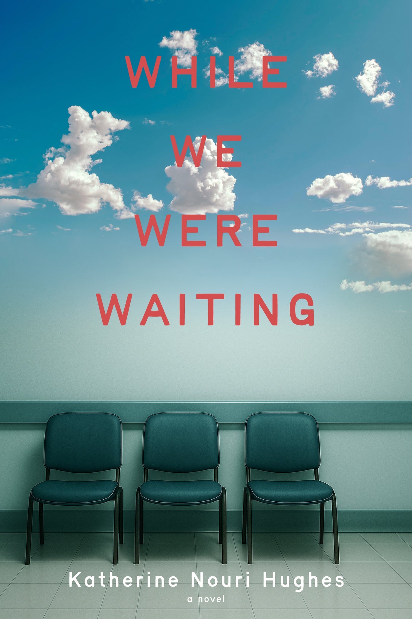 Cover image for While We Were Waiting: ISBN 9781953002761
