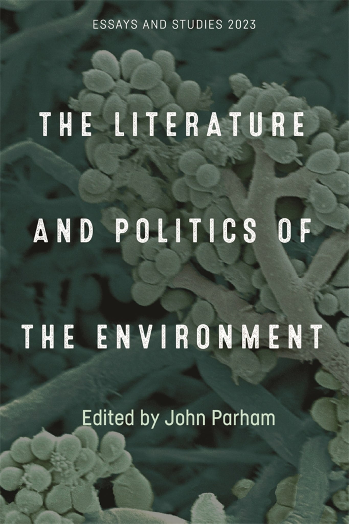 Cover image for The Literature and Politics of the Environment ISBN 9781843846970