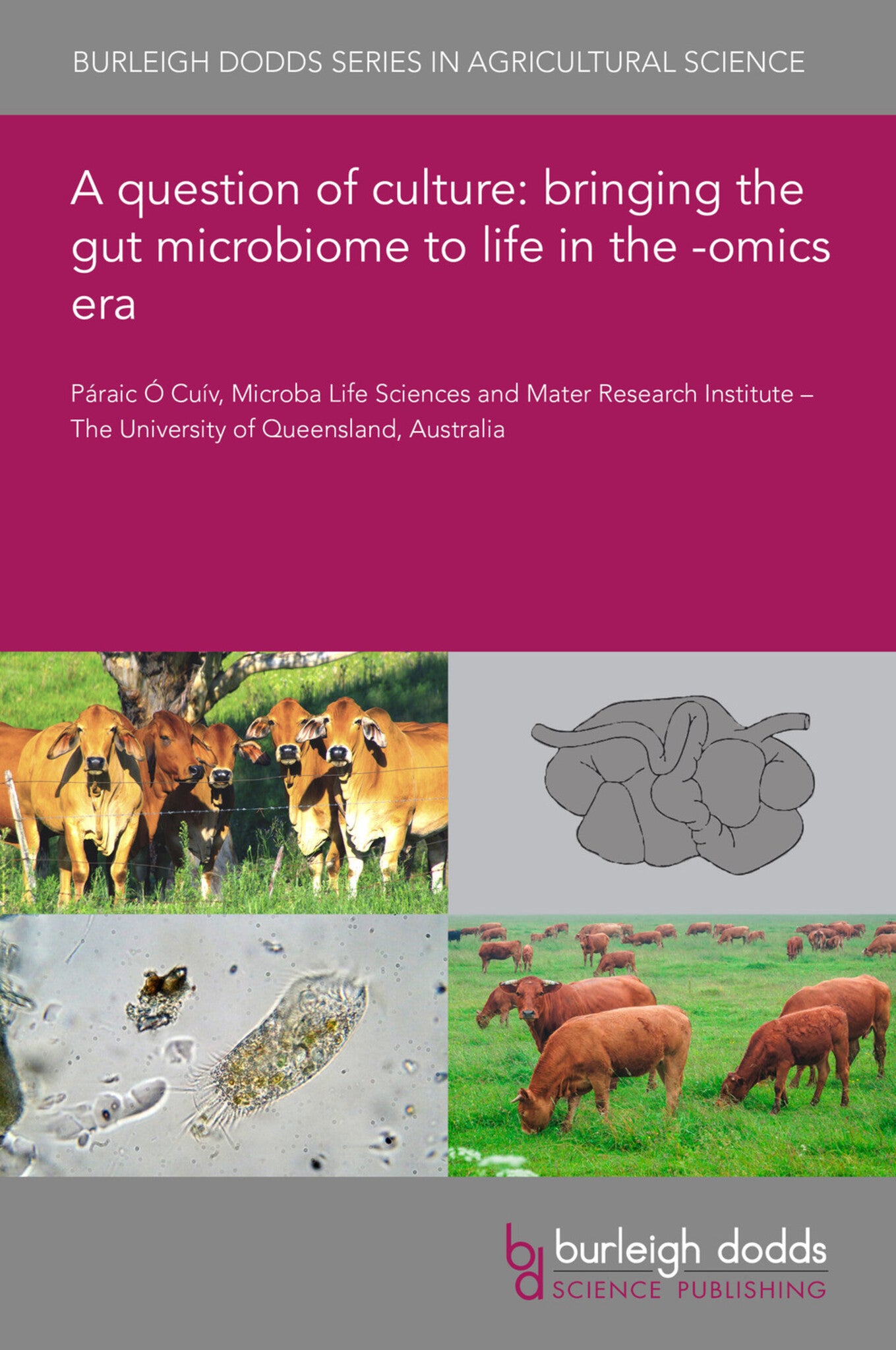Cover image for A question of culture: bringing the gut microbiome to life in the -omics era ISBN 9781786767929