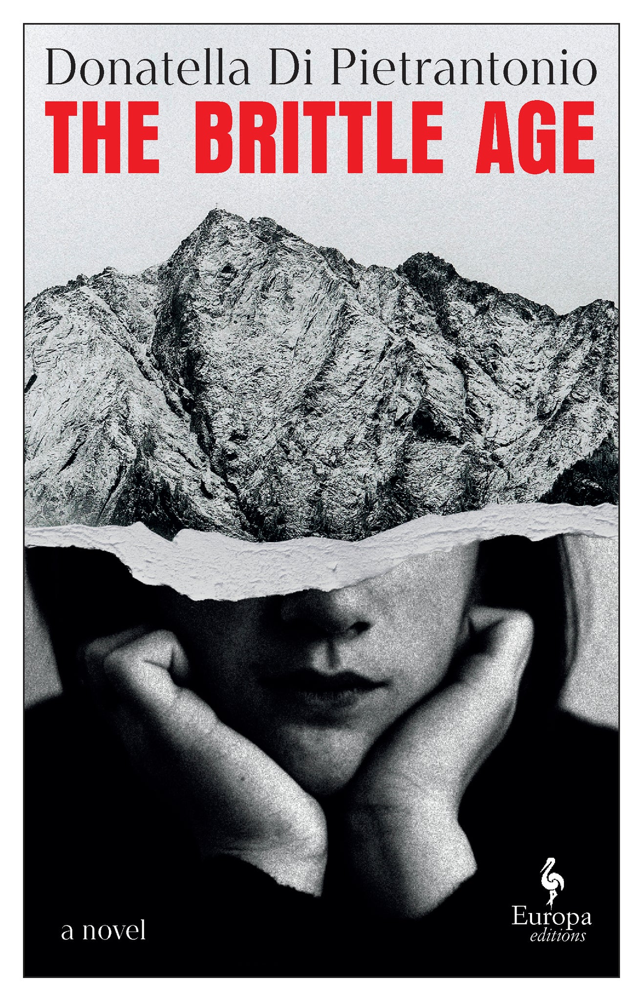 Cover image for The Brittle Age ISBN 9798889660873