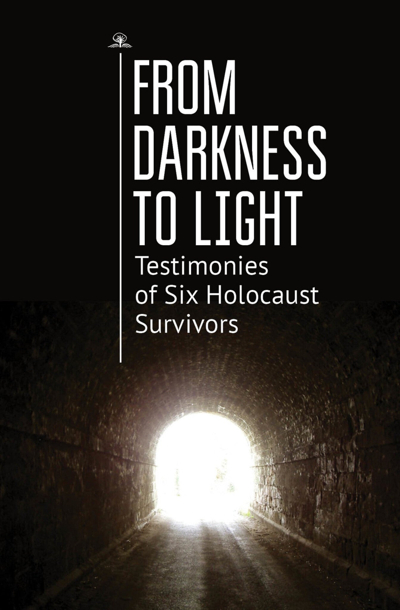 Cover image for From Darkness to Light ISBN 9781644695067