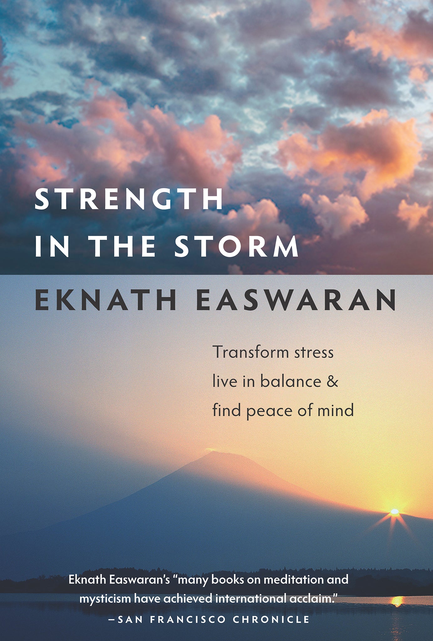 Cover image for Strength in the Storm ISBN 9781586381011