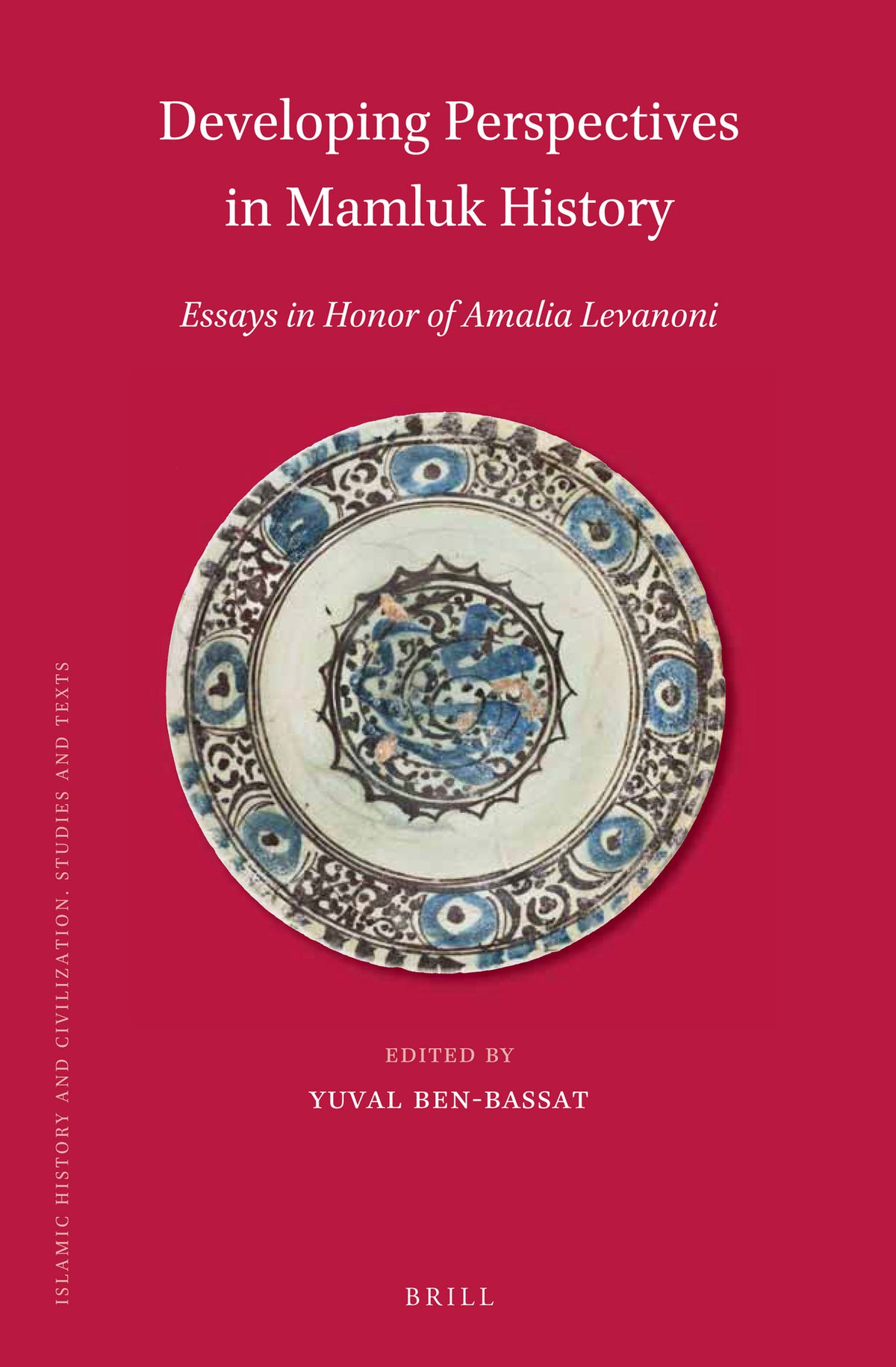 Developing Perspectives in Mamluk History
