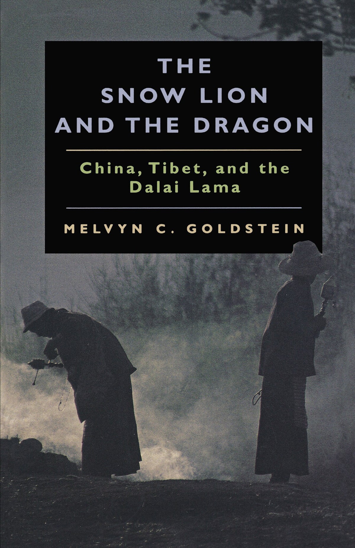 The Snow Lion and the Dragon