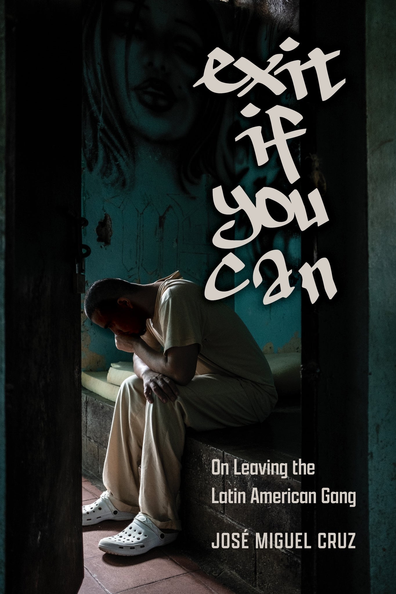 Cover image for Exit If You Can ISBN 9781479836901