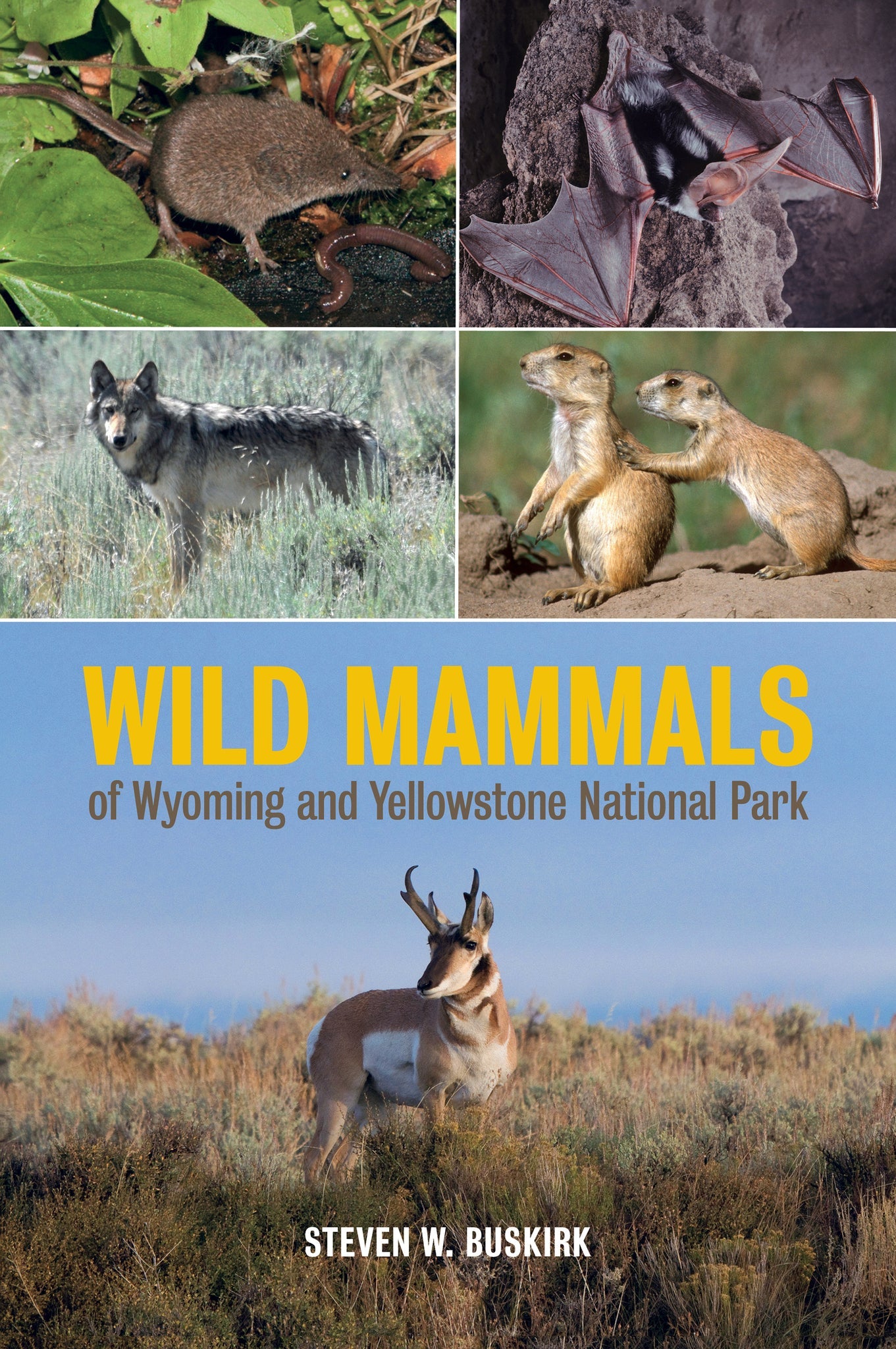 Cover image for Wild Mammals of Wyoming and Yellowstone National Park ISBN 9780520961951
