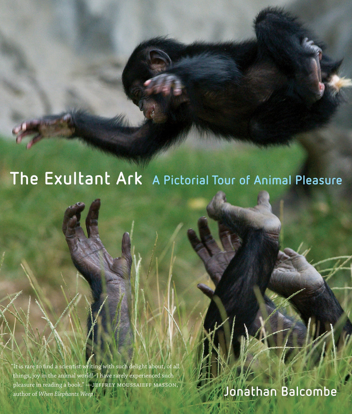 Cover image for The Exultant Ark ISBN 9780520948648