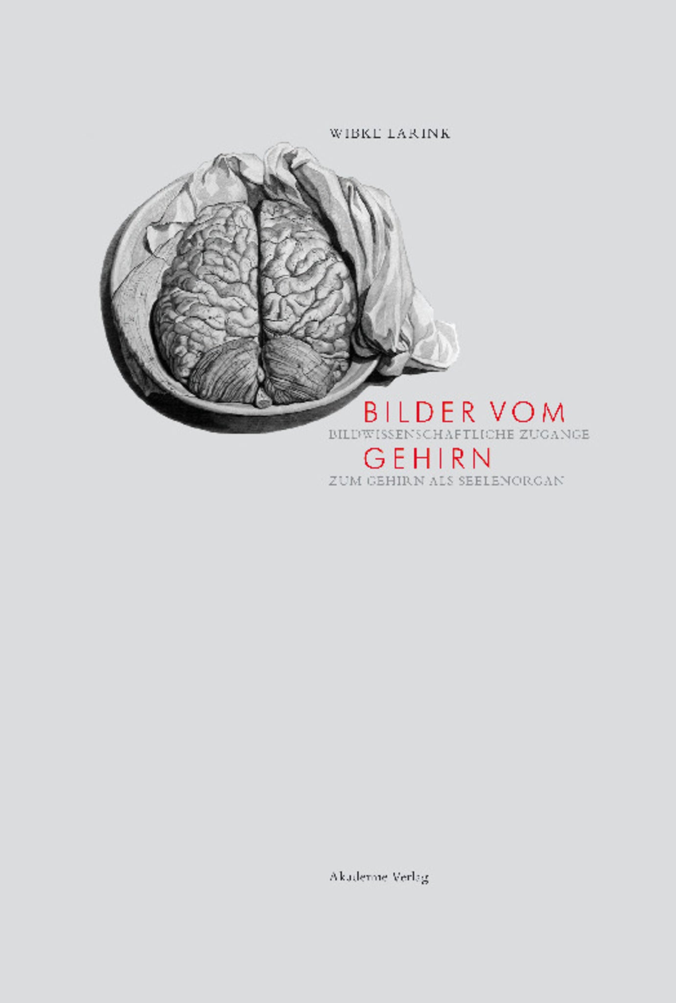 Bilder vom Gehirn