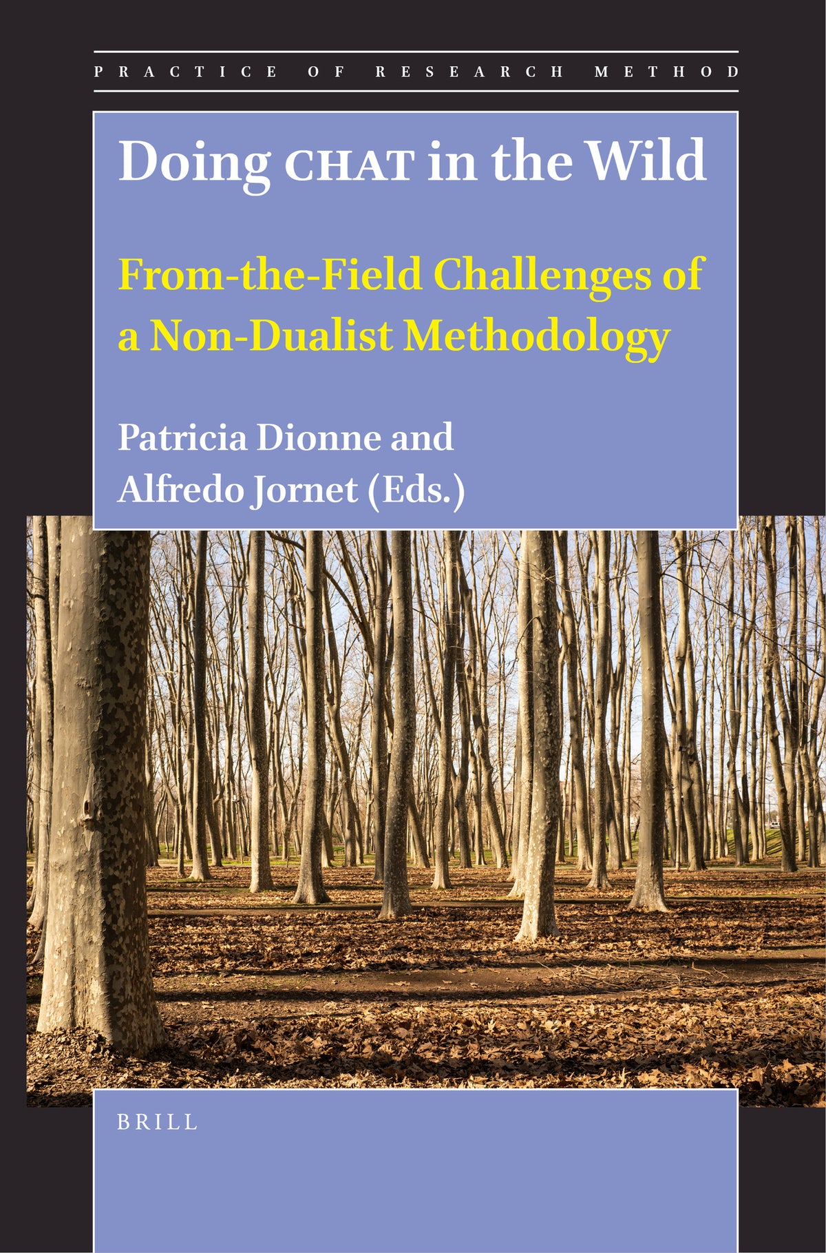 Cover image for Doing CHAT in the Wild ISBN 9789004548657