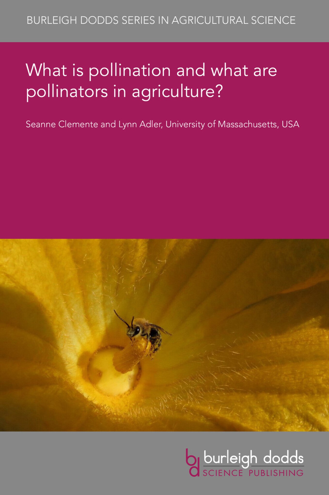 Cover image for What is pollination and what are pollinators in agriculture? ISBN 9781801467476