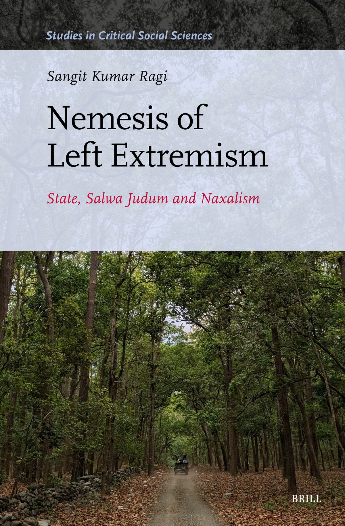 Cover image for Nemesis of Left Extremism ISBN 9789004765047