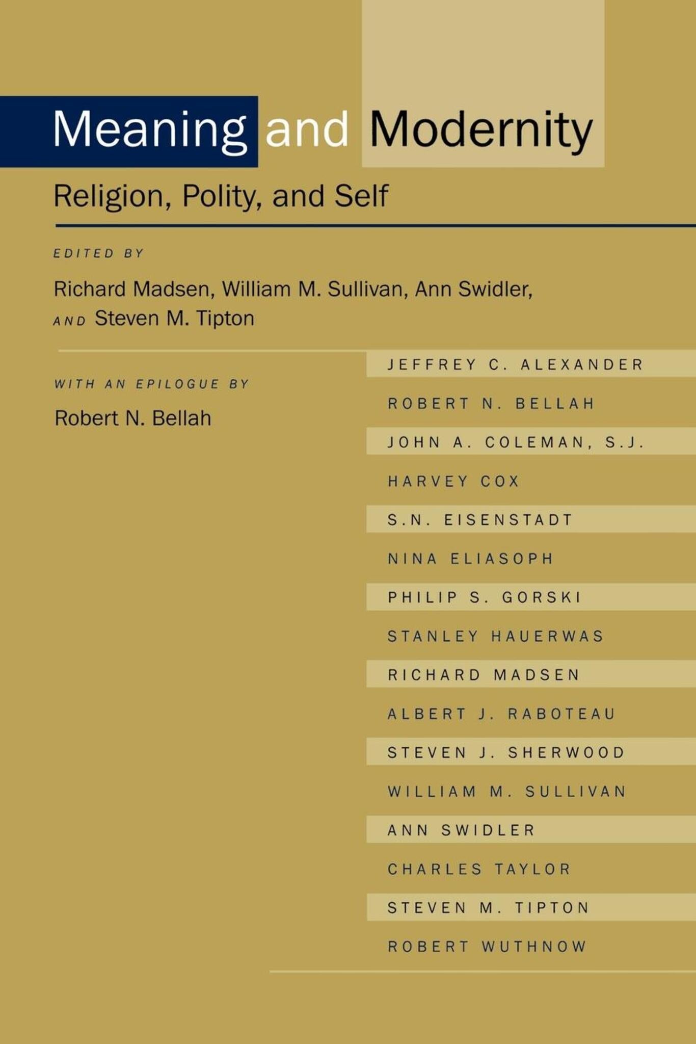 Cover image for Meaning and Modernity ISBN 9780520926066