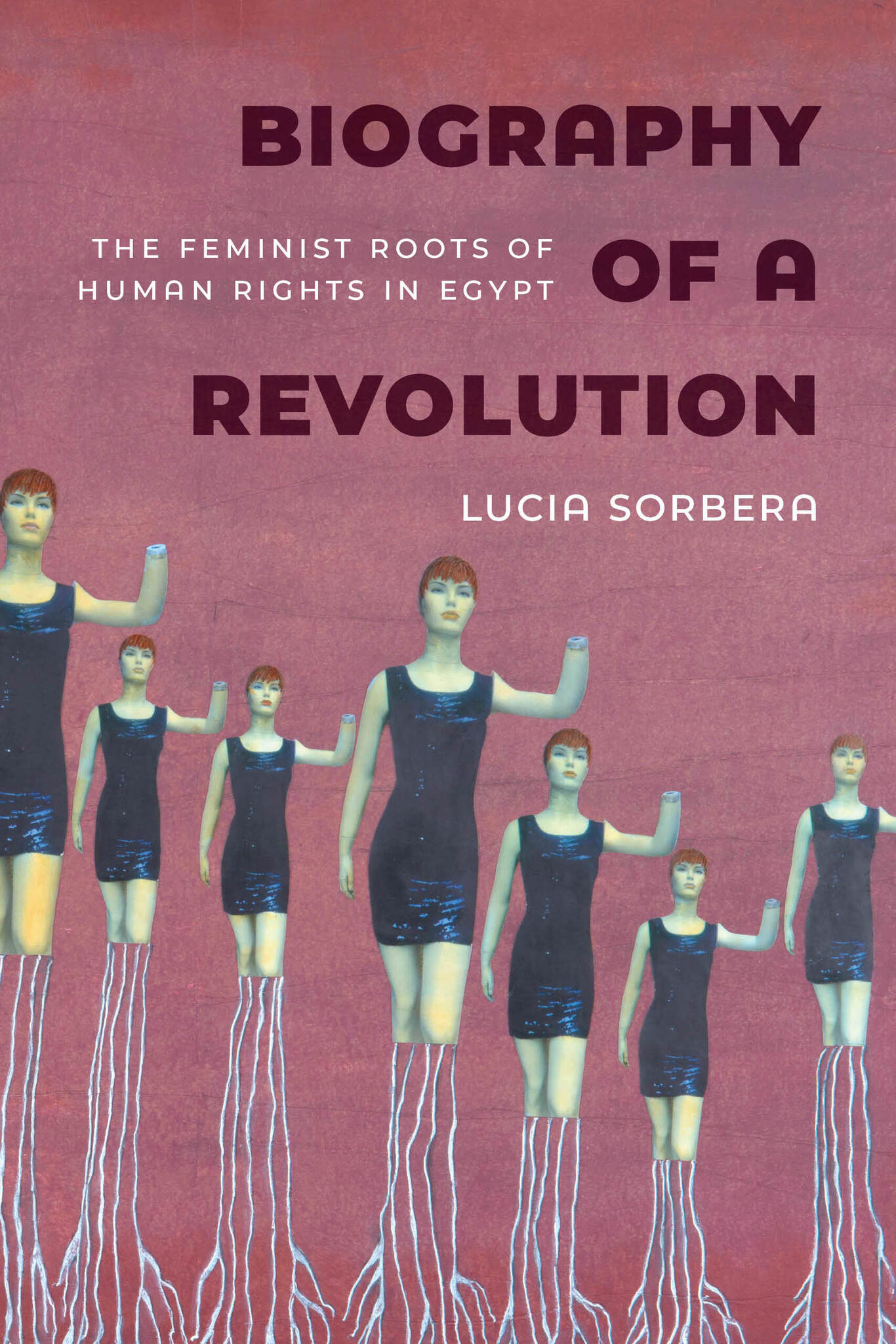 Cover image for Biography of a Revolution ISBN 9780520394766