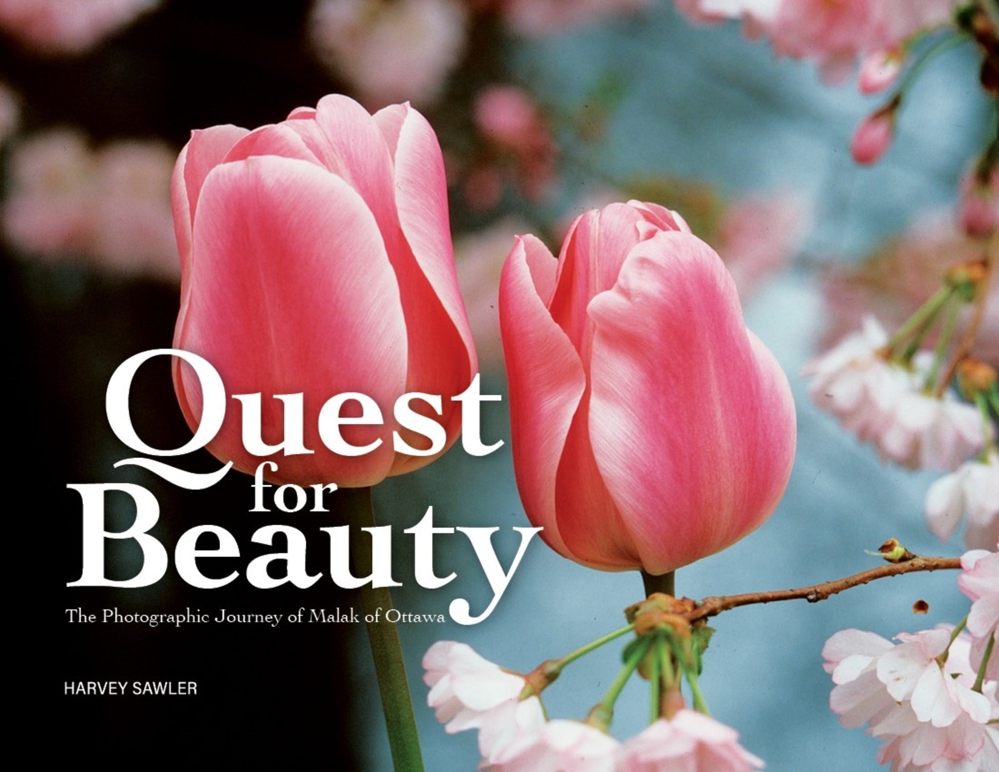 Cover image for Quest for Beauty ISBN 9780776644998