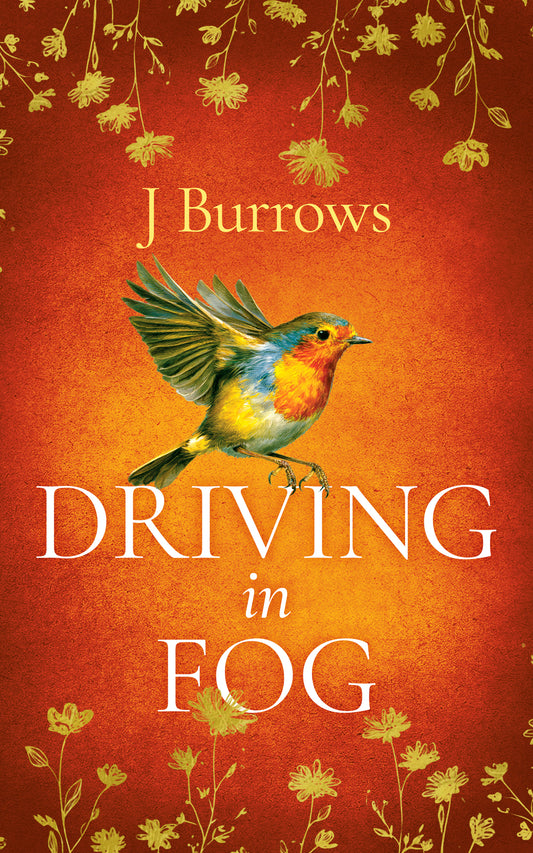 Driving in Fog