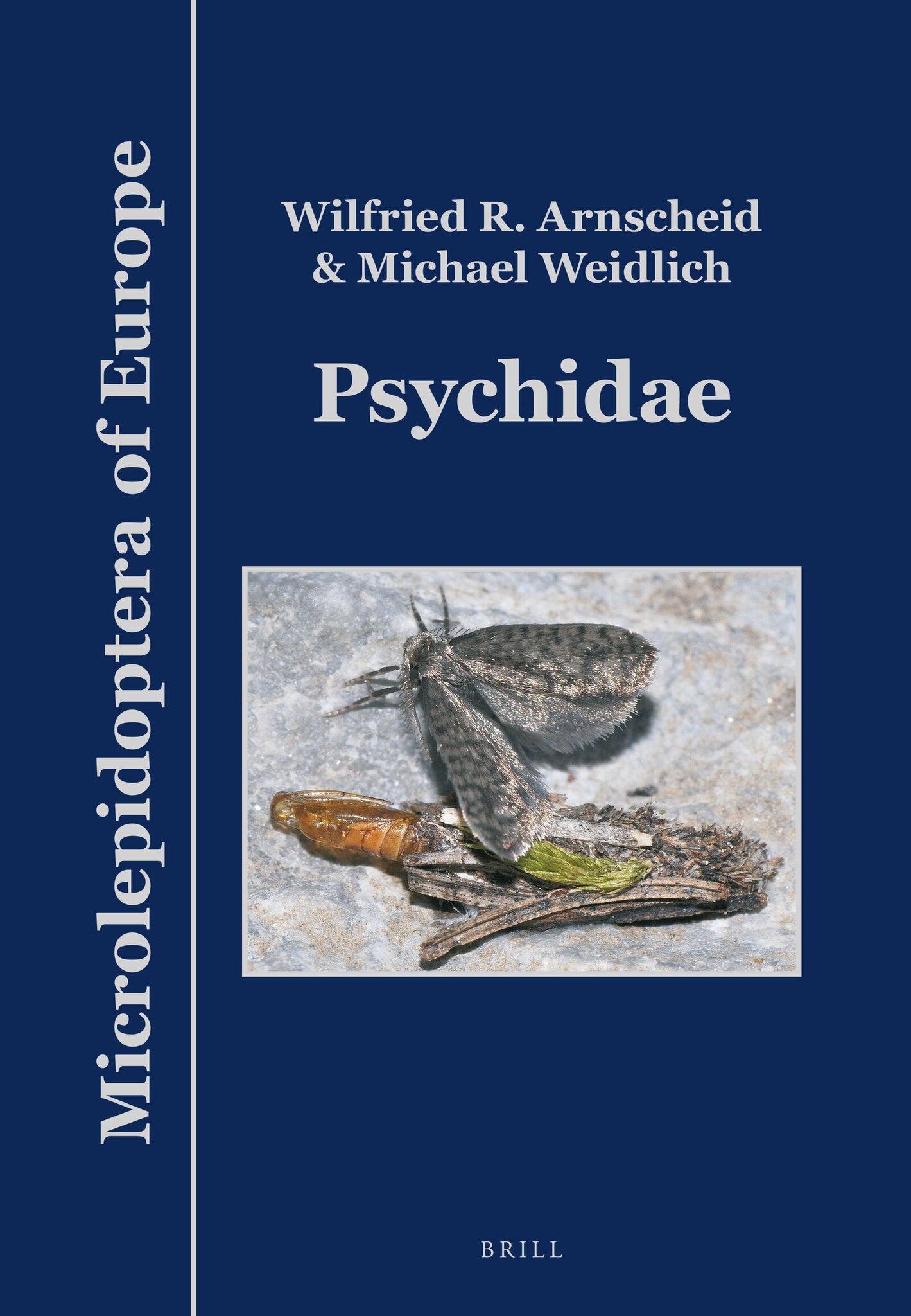 Psychidae