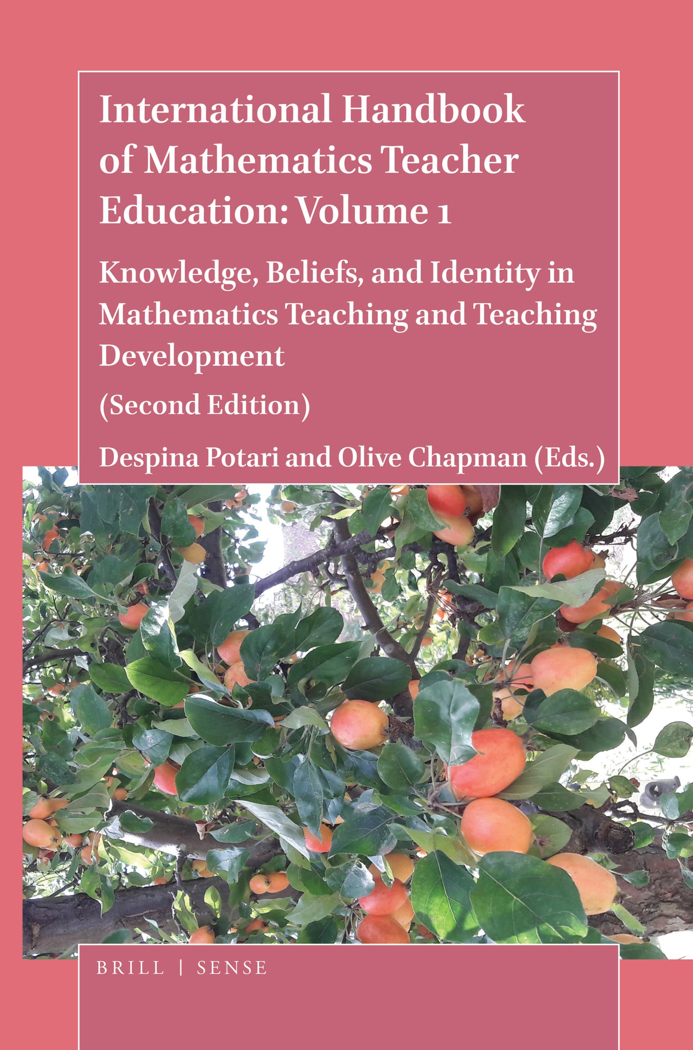 International Handbook of Mathematics Teacher Education: Volume 1