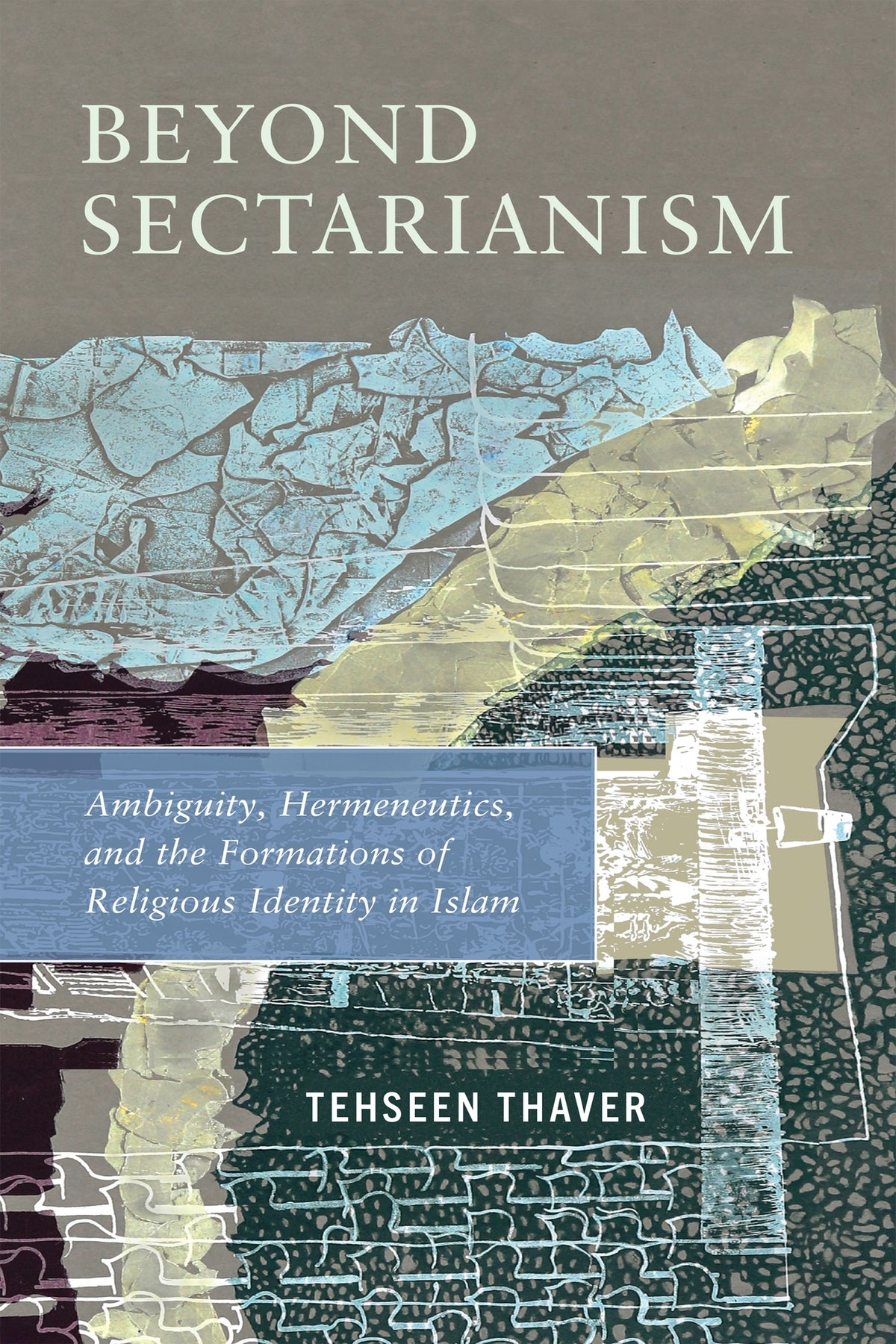 Cover image for Beyond Sectarianism ISBN 9781512825947