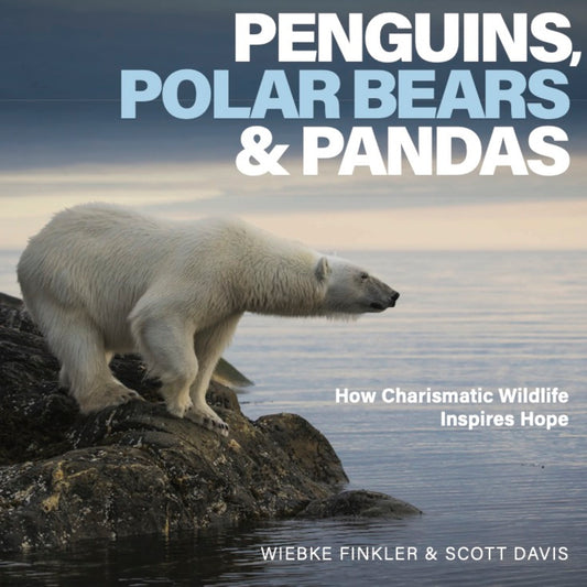 Penguins, Polar Bears and Pandas
