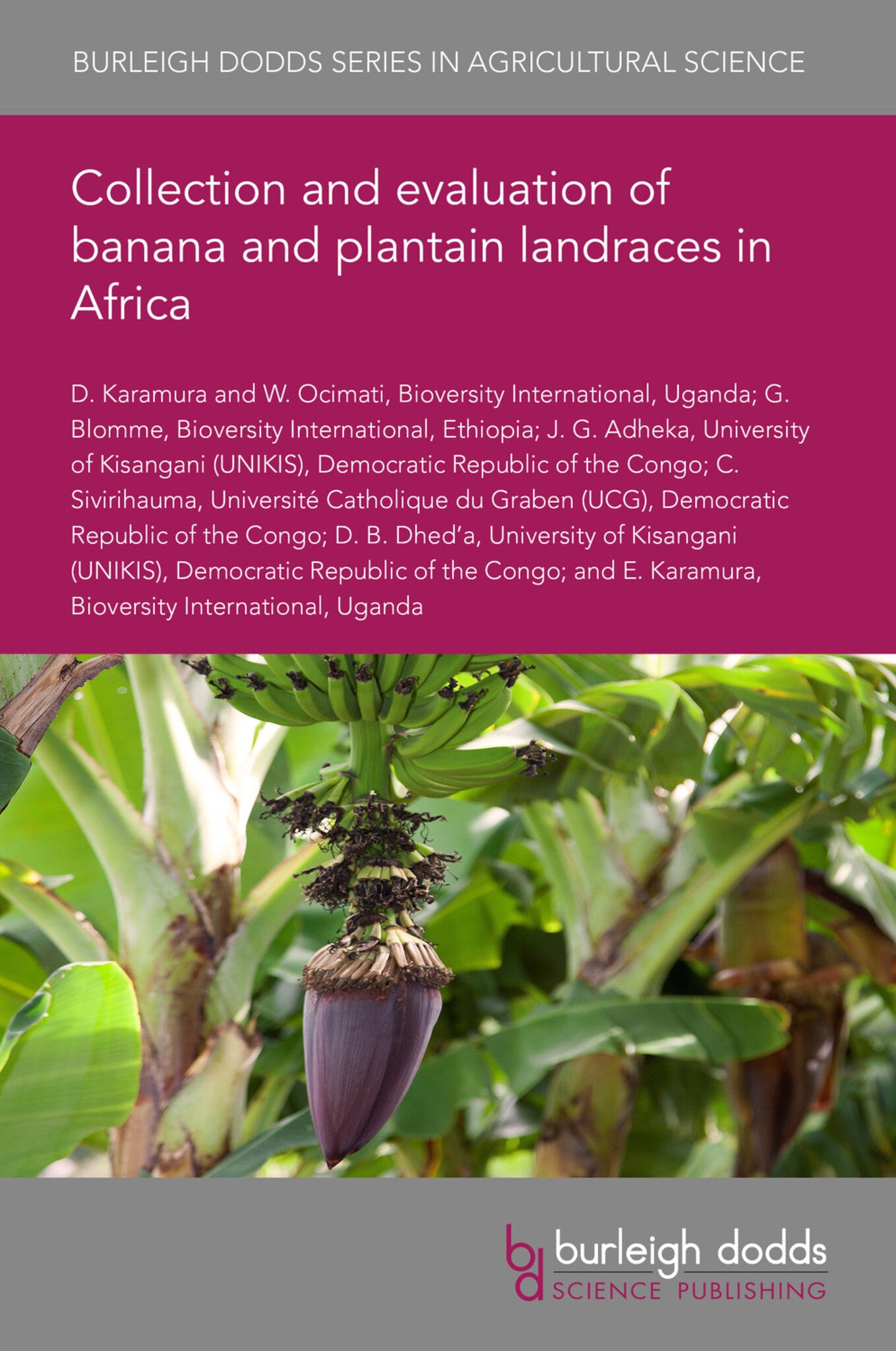 Cover image for Collection and evaluation of banana and plantain landraces in Africa ISBN 9781786769428