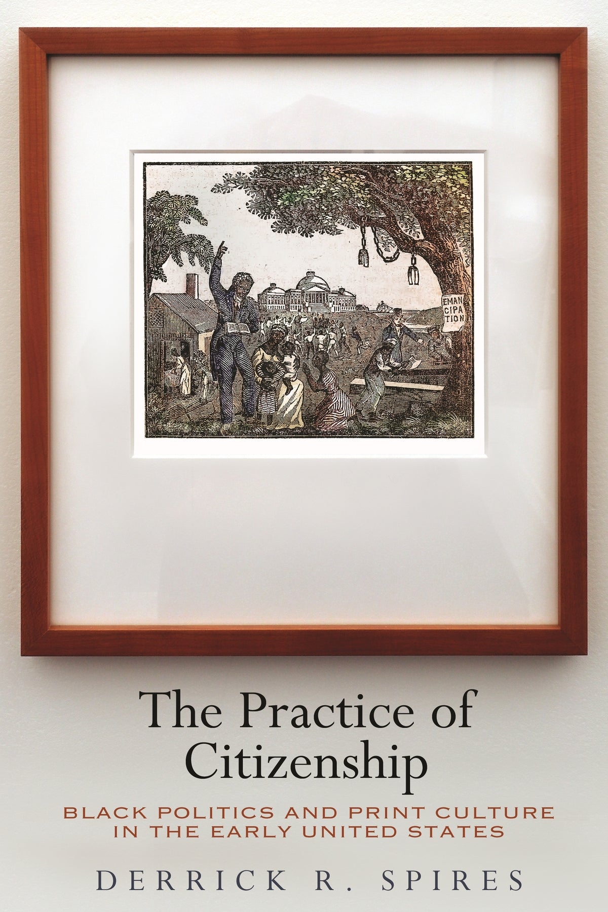 Cover image for The Practice of Citizenship ISBN 9781512824469
