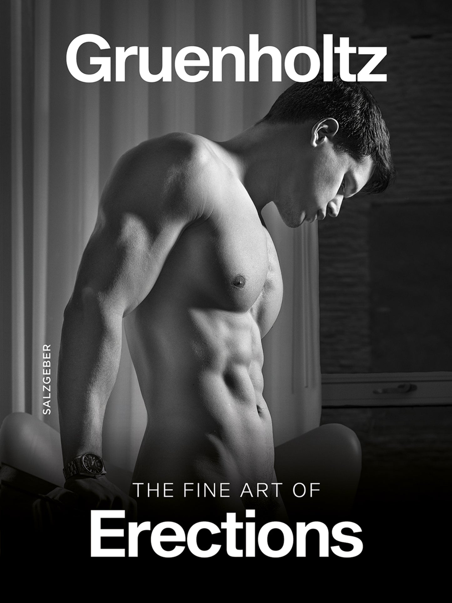 The Fine Art of Erections