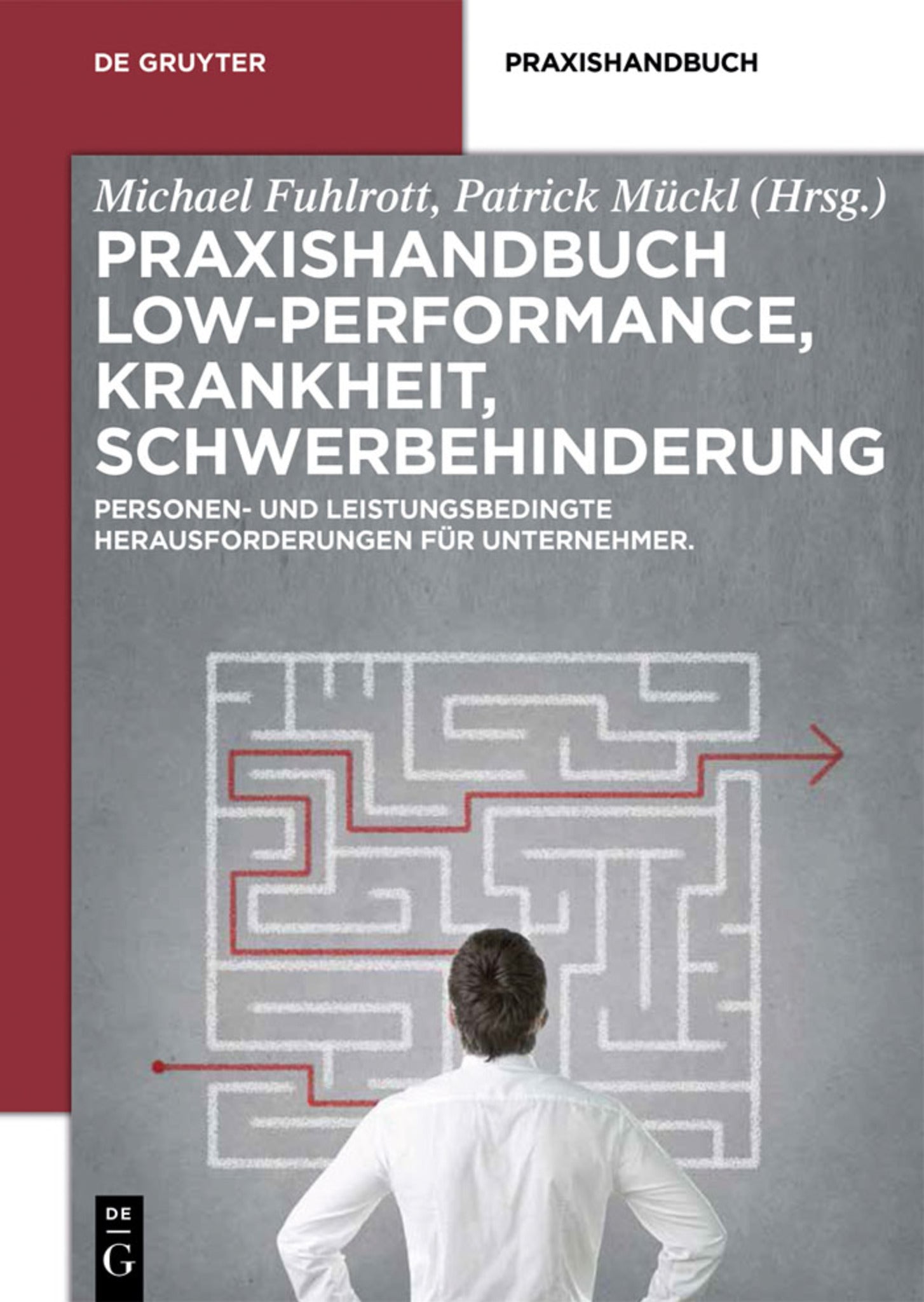 Cover image for Praxishandbuch Low-Performance, Krankheit, Schwerbehinderung ISBN 9783110338515